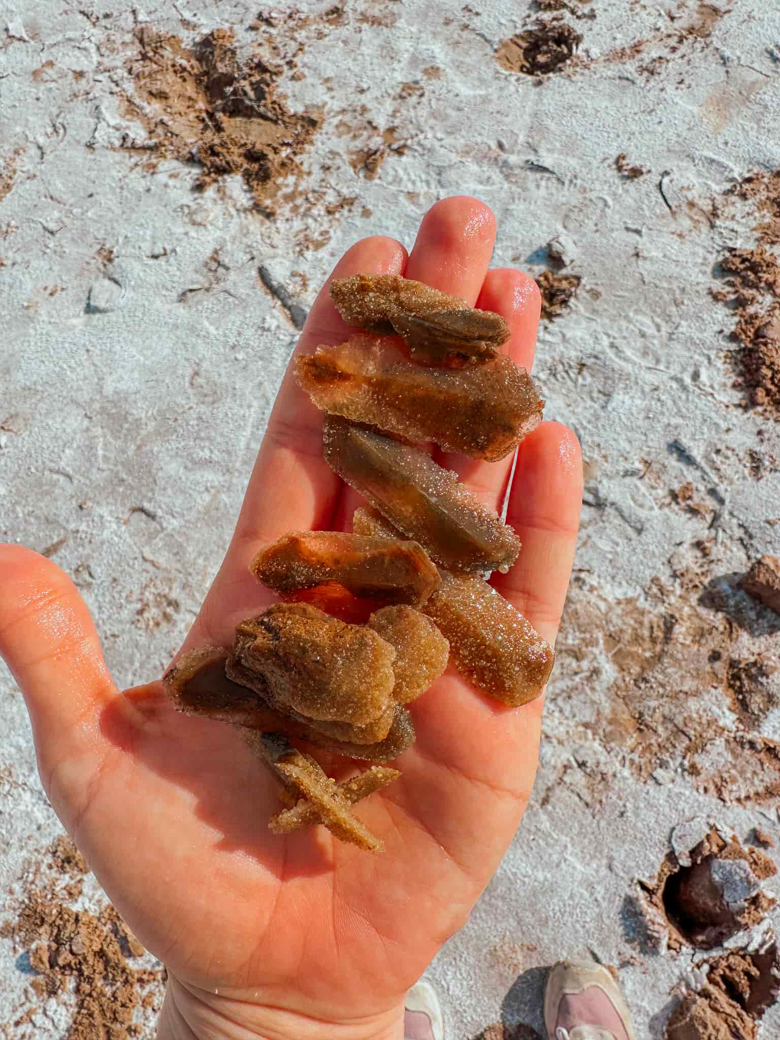 hand full of selenite crystals from great salt plains in jet oklahoma

