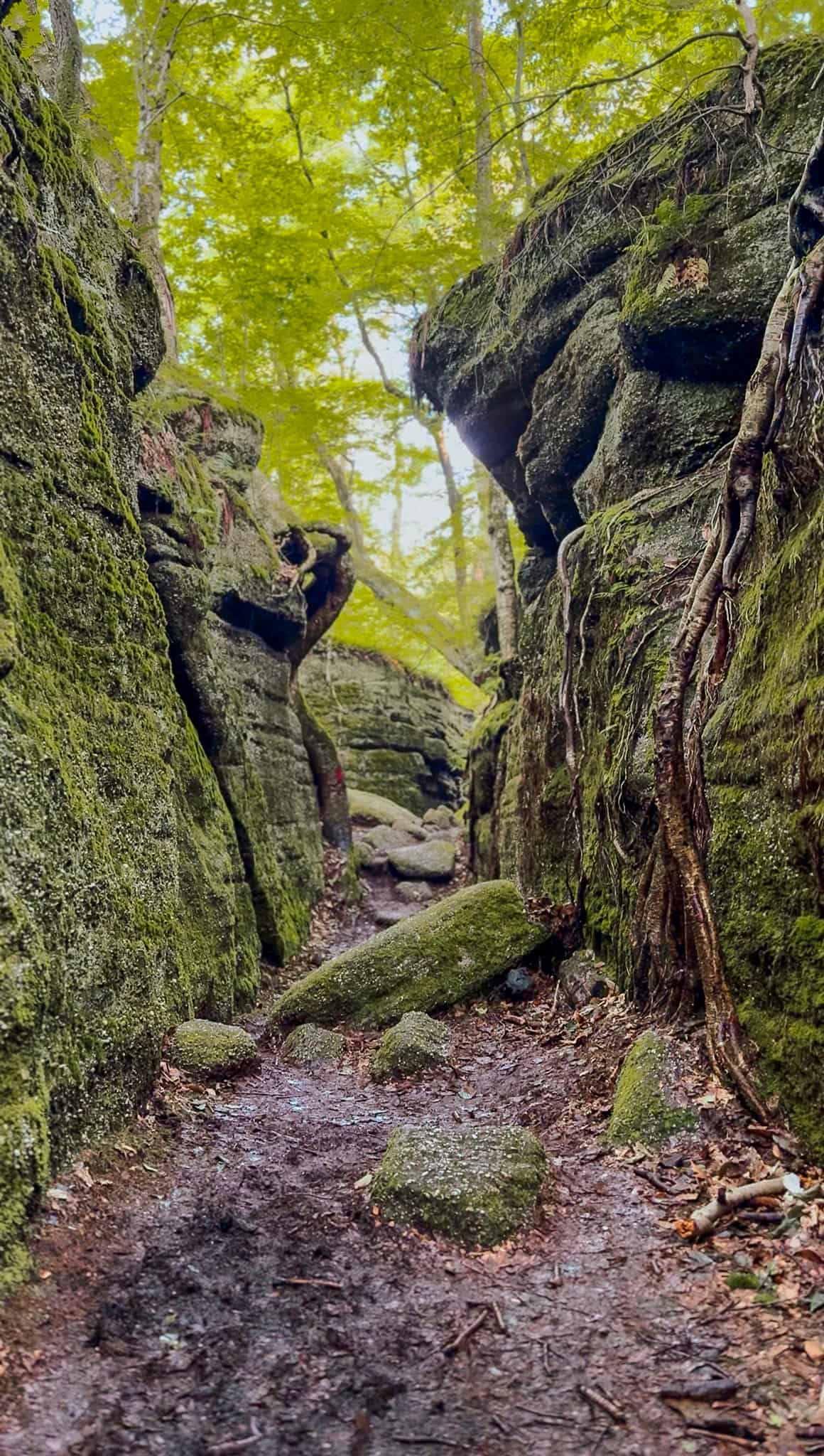 magnificent rock formation at nelson kennedy ledges state park 