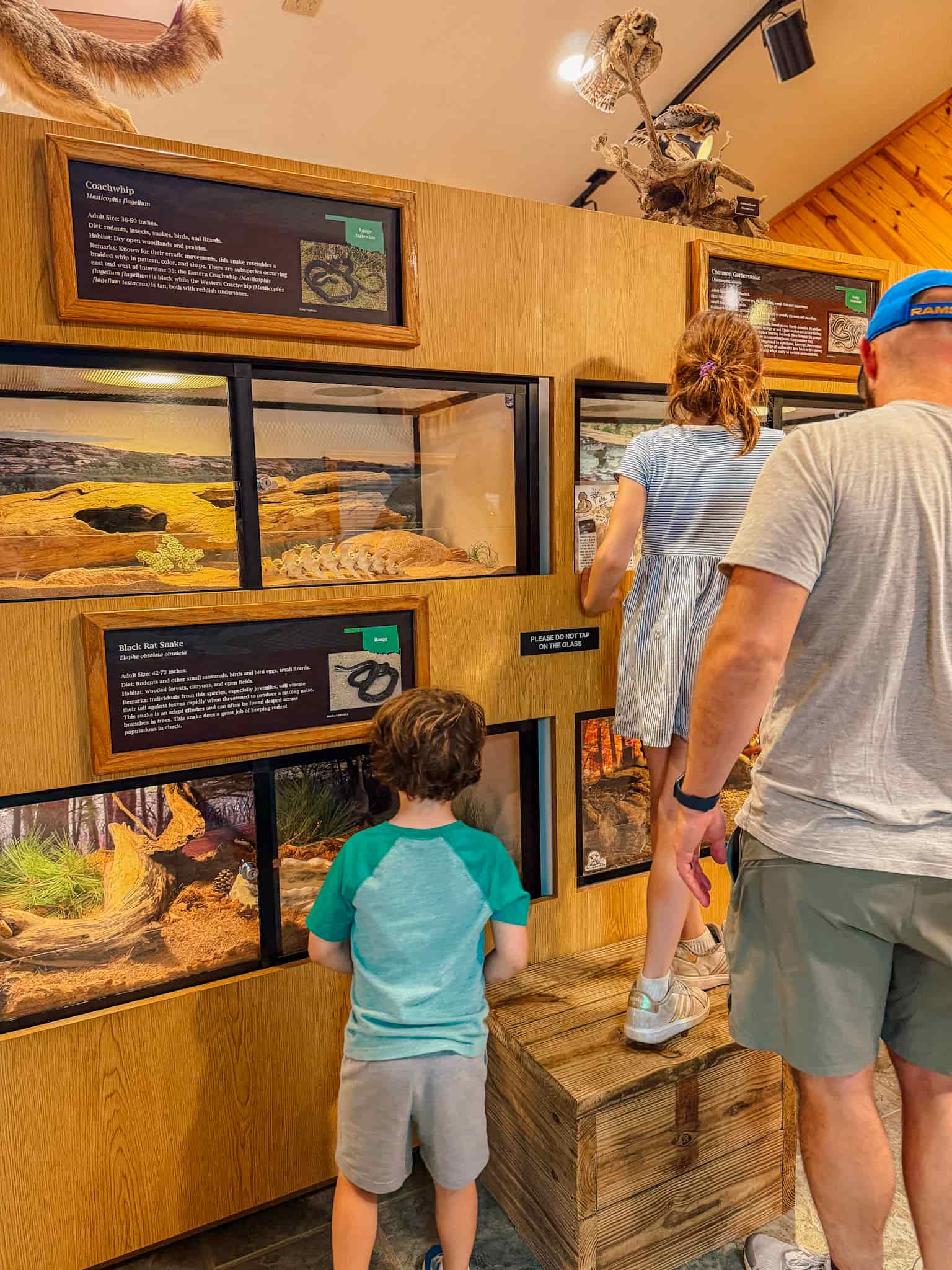 nature center at sequoyah state park