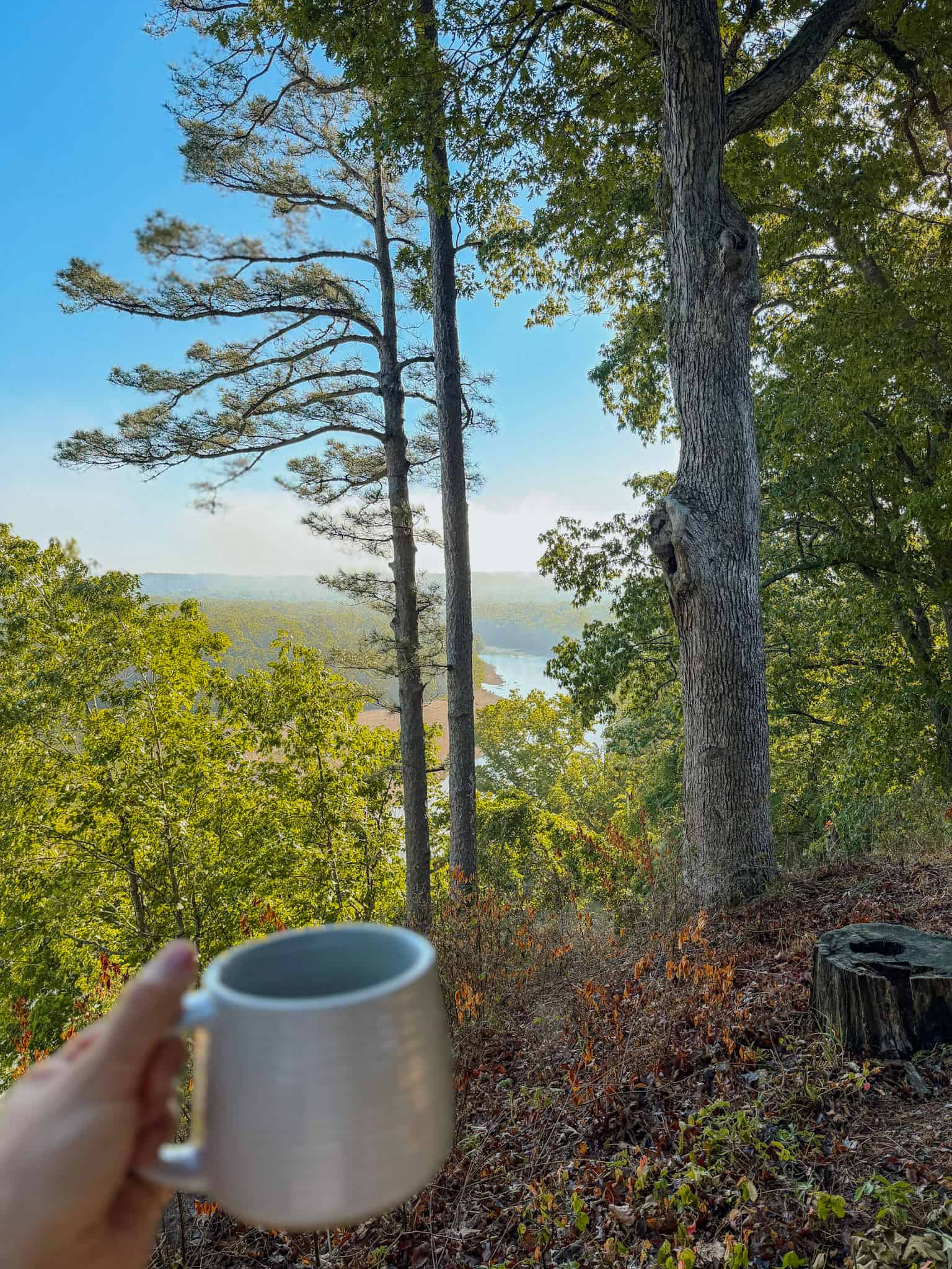 coffee with a view at river bluff cabin