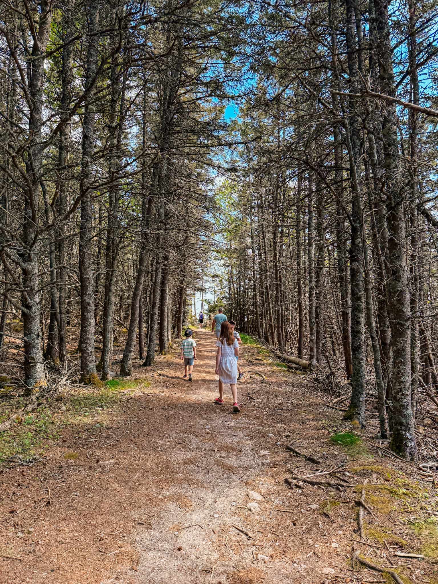 kid friendly trails in acadia national park