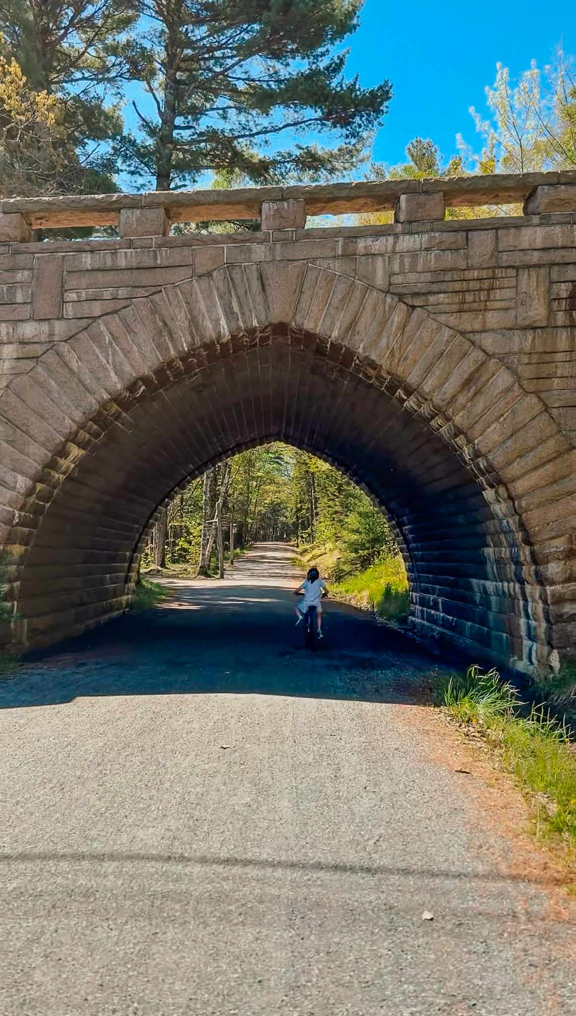 carriage roads acadia national park 
