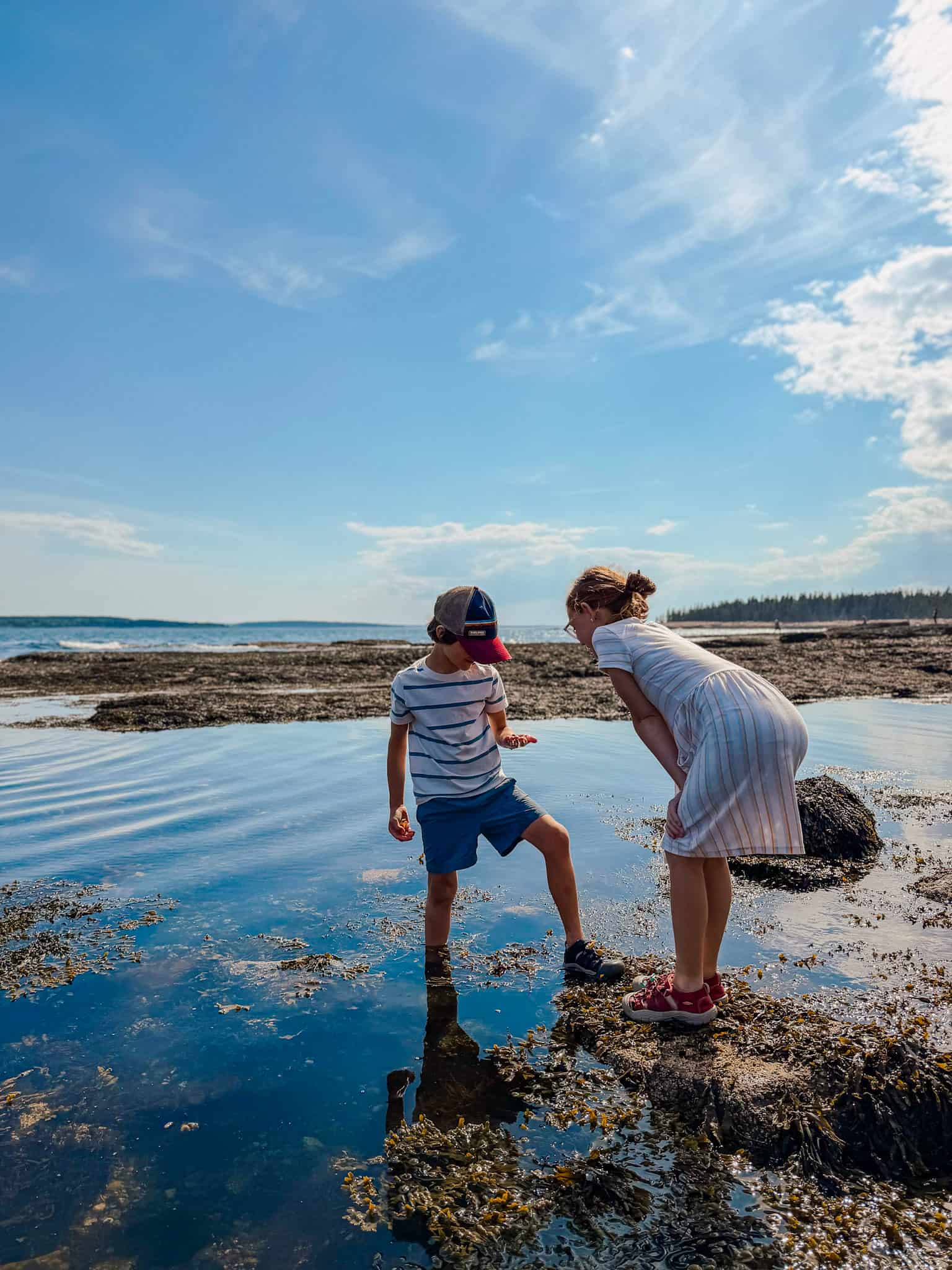 tide pooling at acadia national park