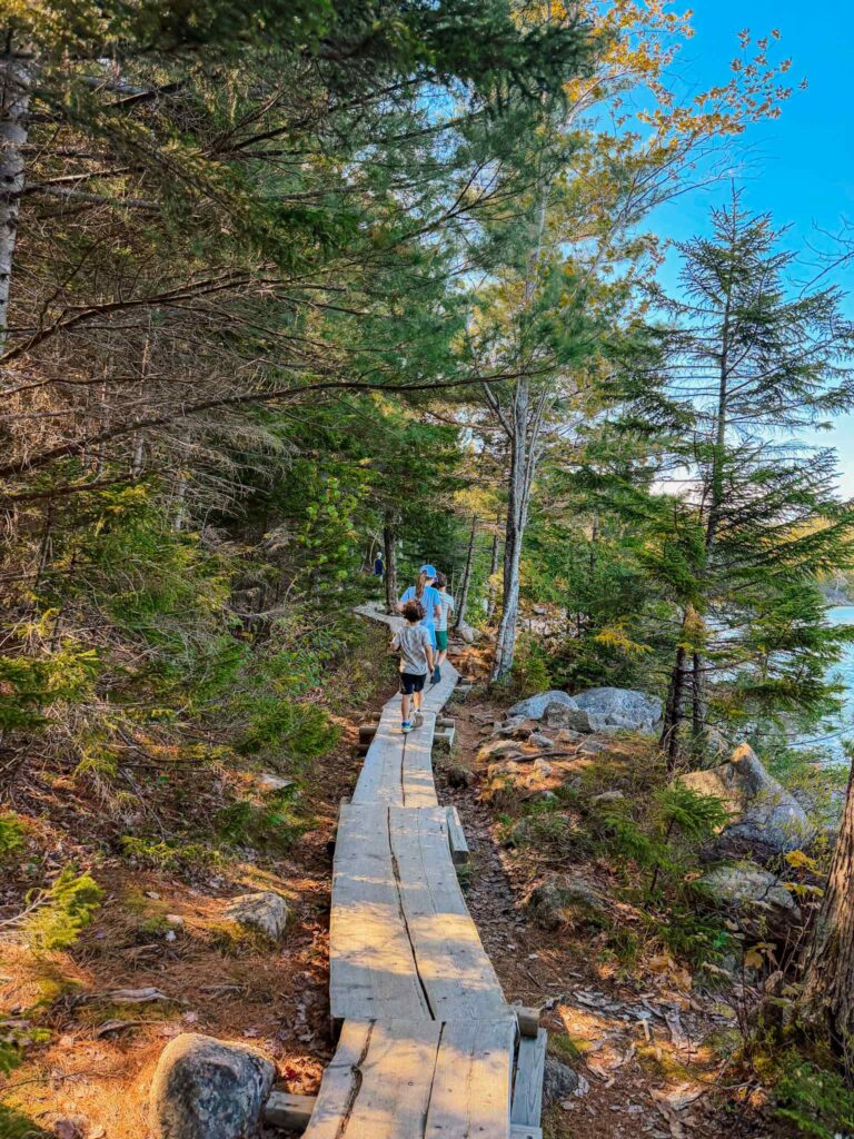 jordan pond trail acadia national park