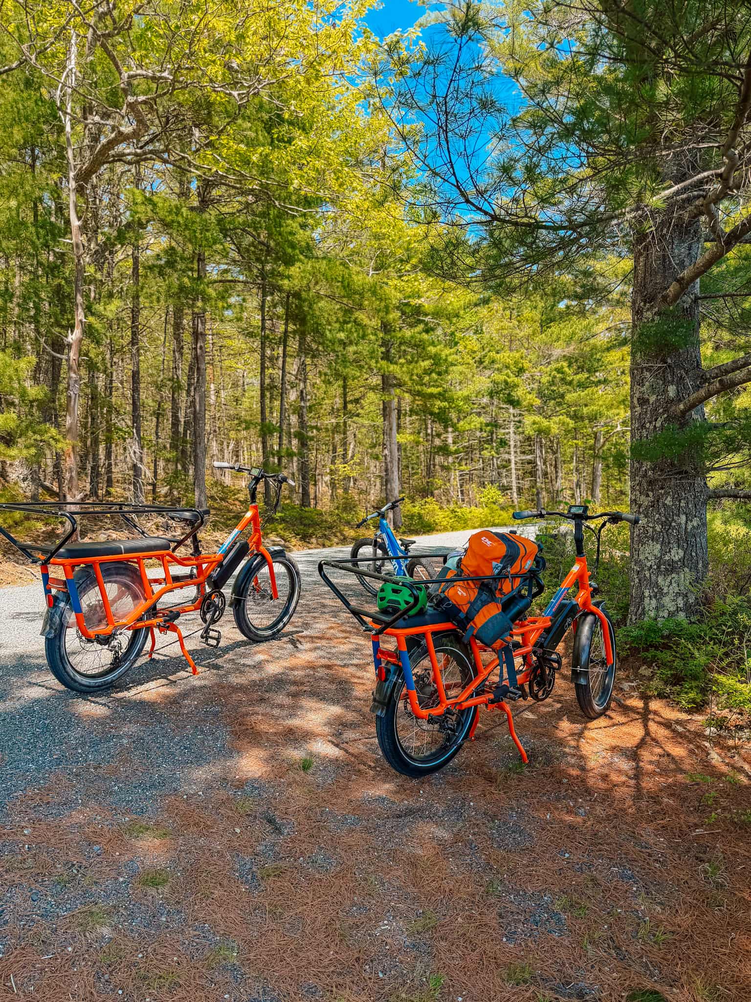 e-bikes on carriage road