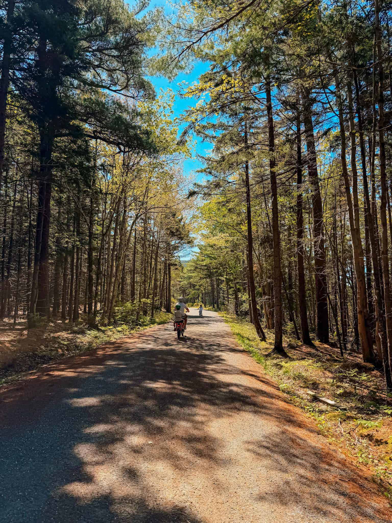 e-bikes on carriage road acadia national park