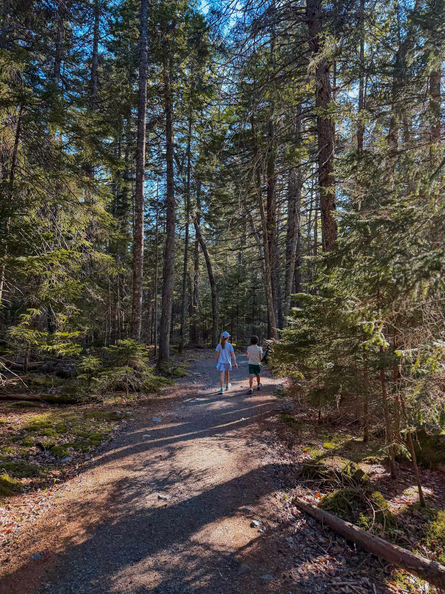 acadia national park with kids