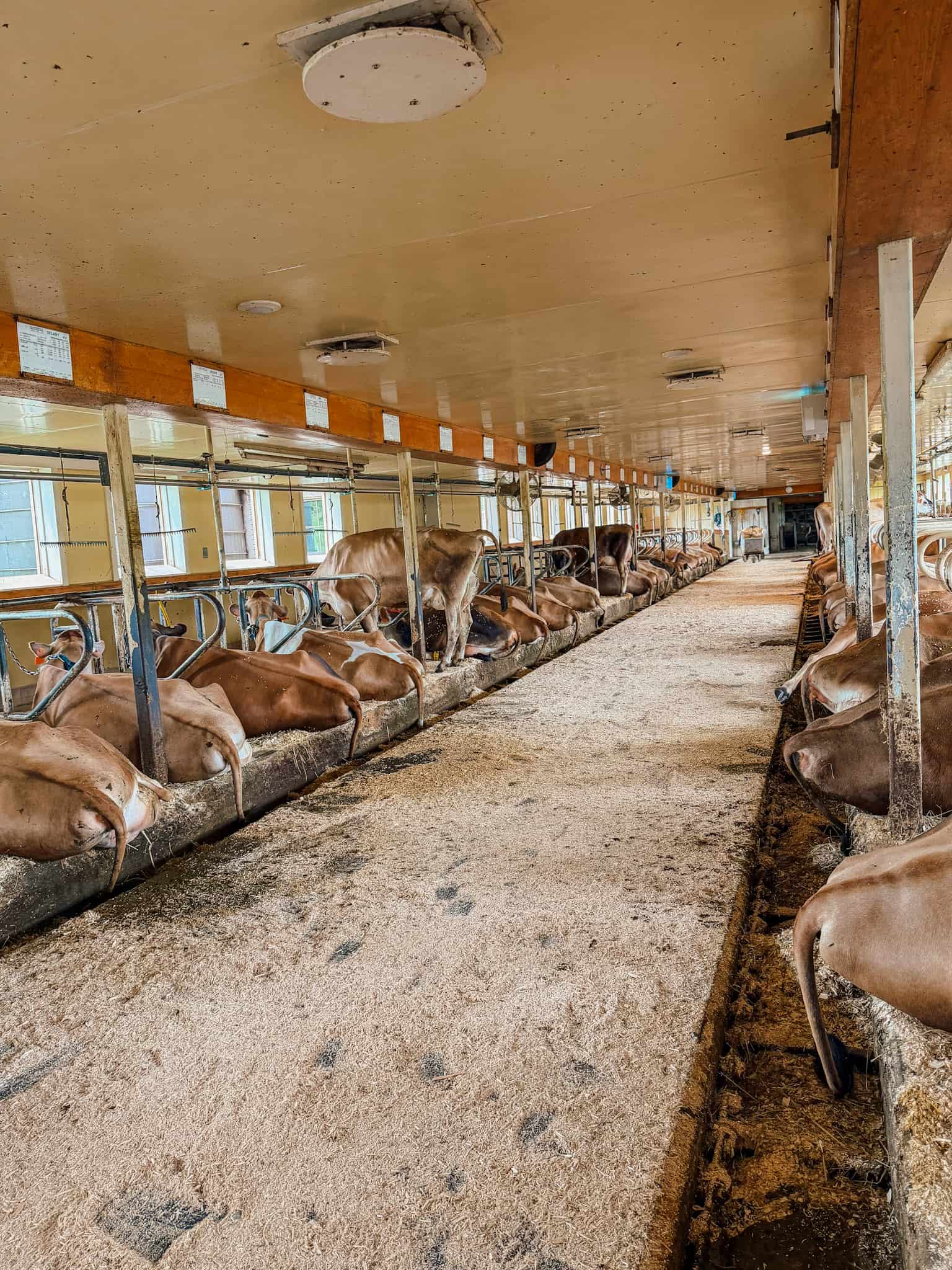billings farm