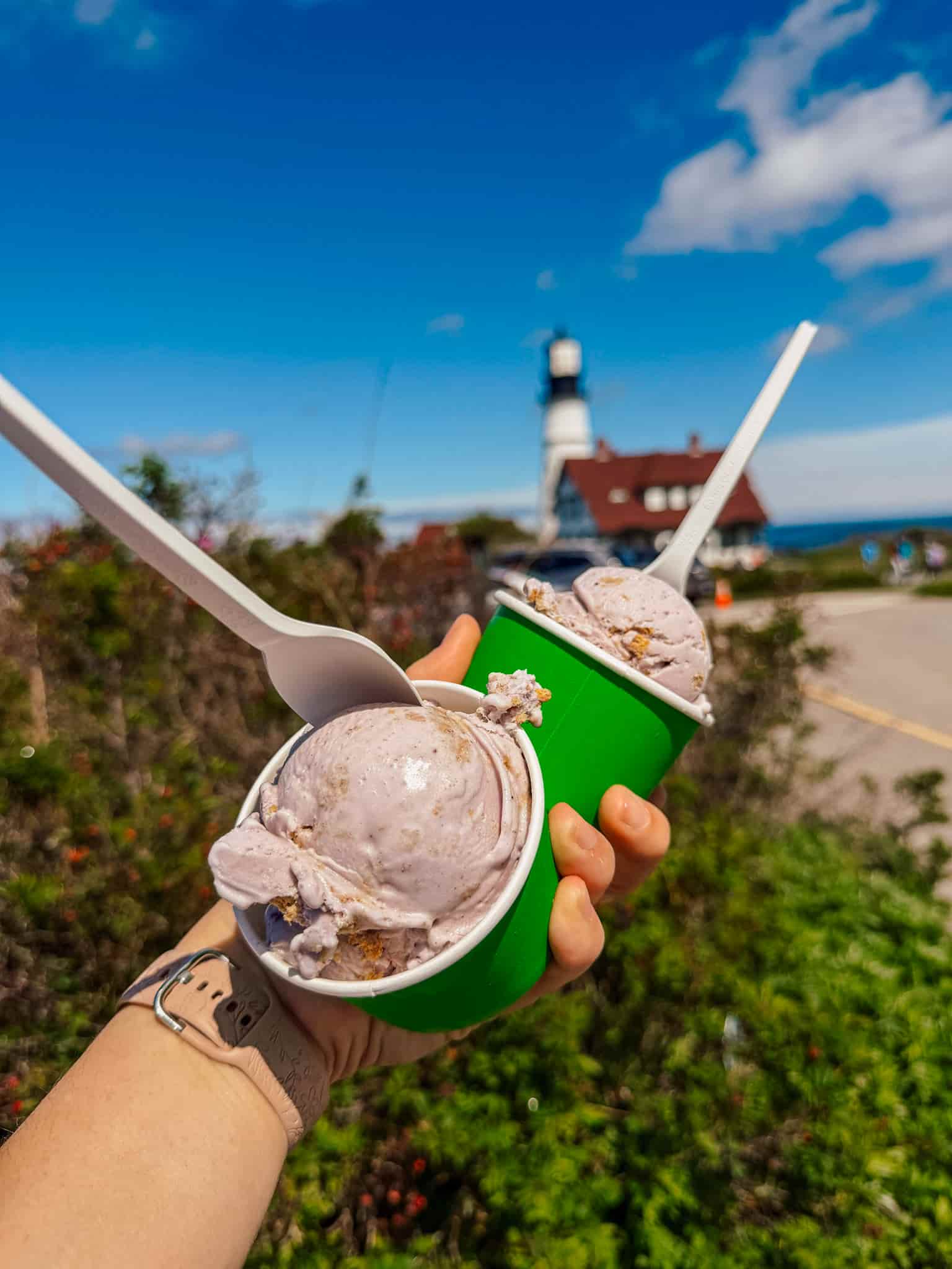 blueberry cobbler ice cream