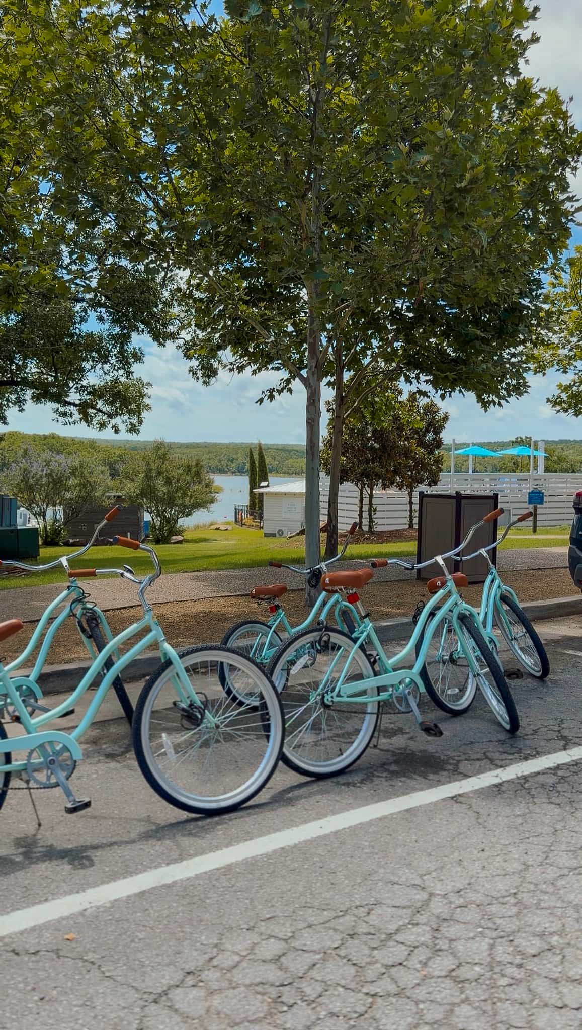 bikes parked in carlton landing