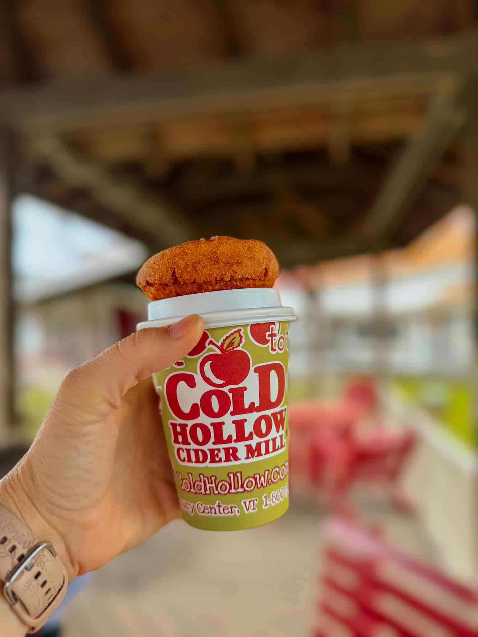 cold hollow cider mill
