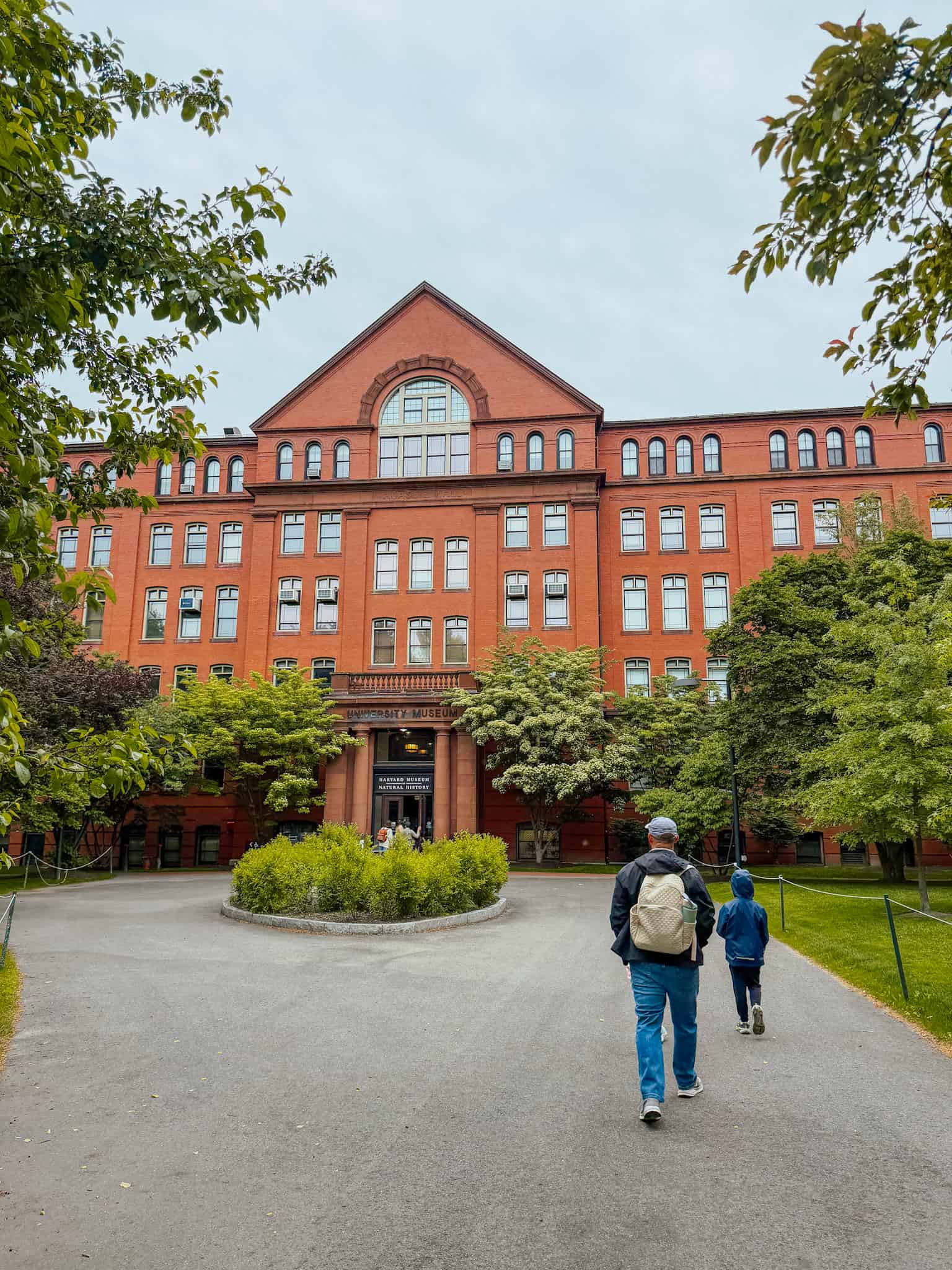 harvard campus