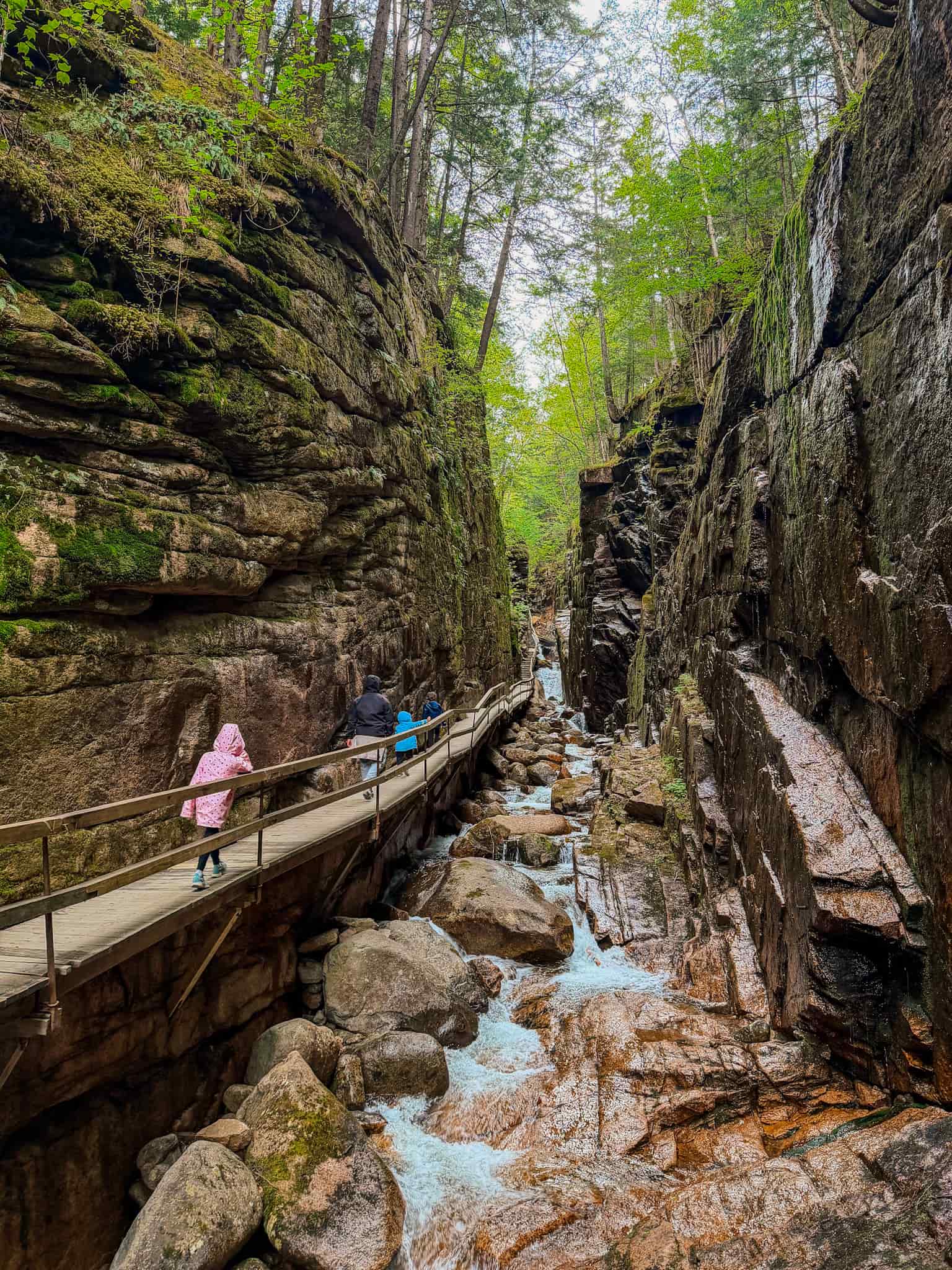 flume gorge