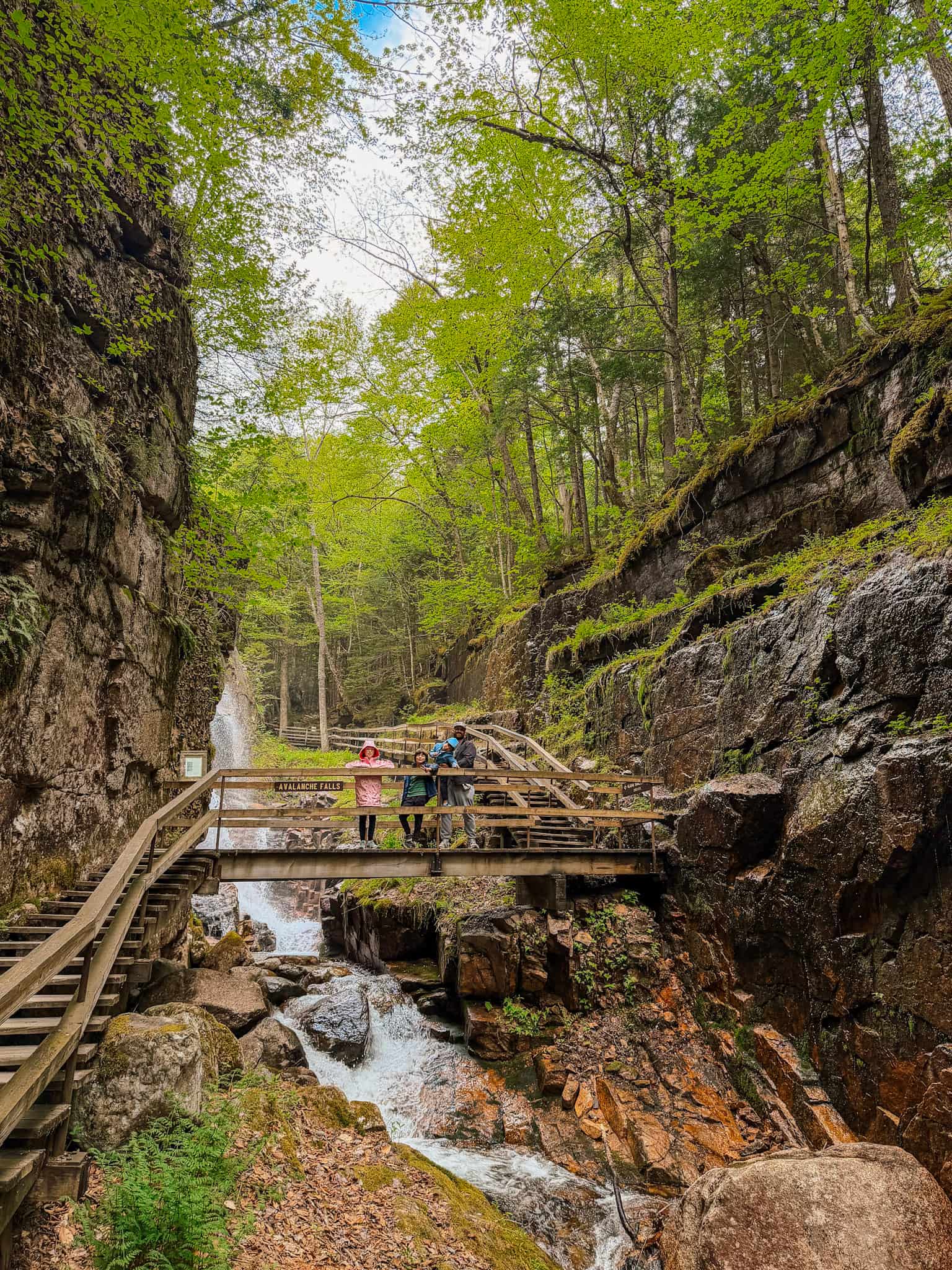 flume gorge new hampshire