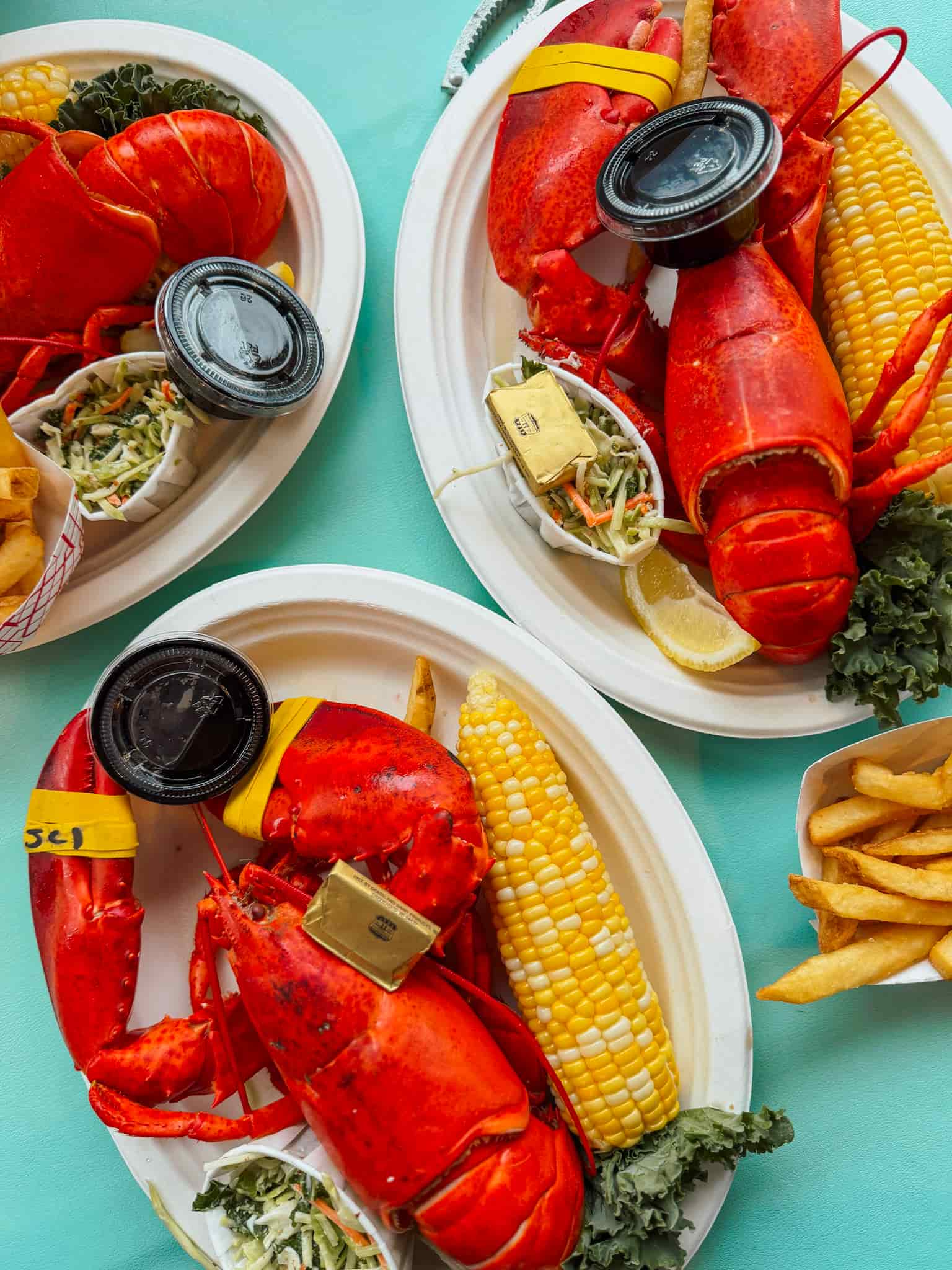 lobster in portland maine
