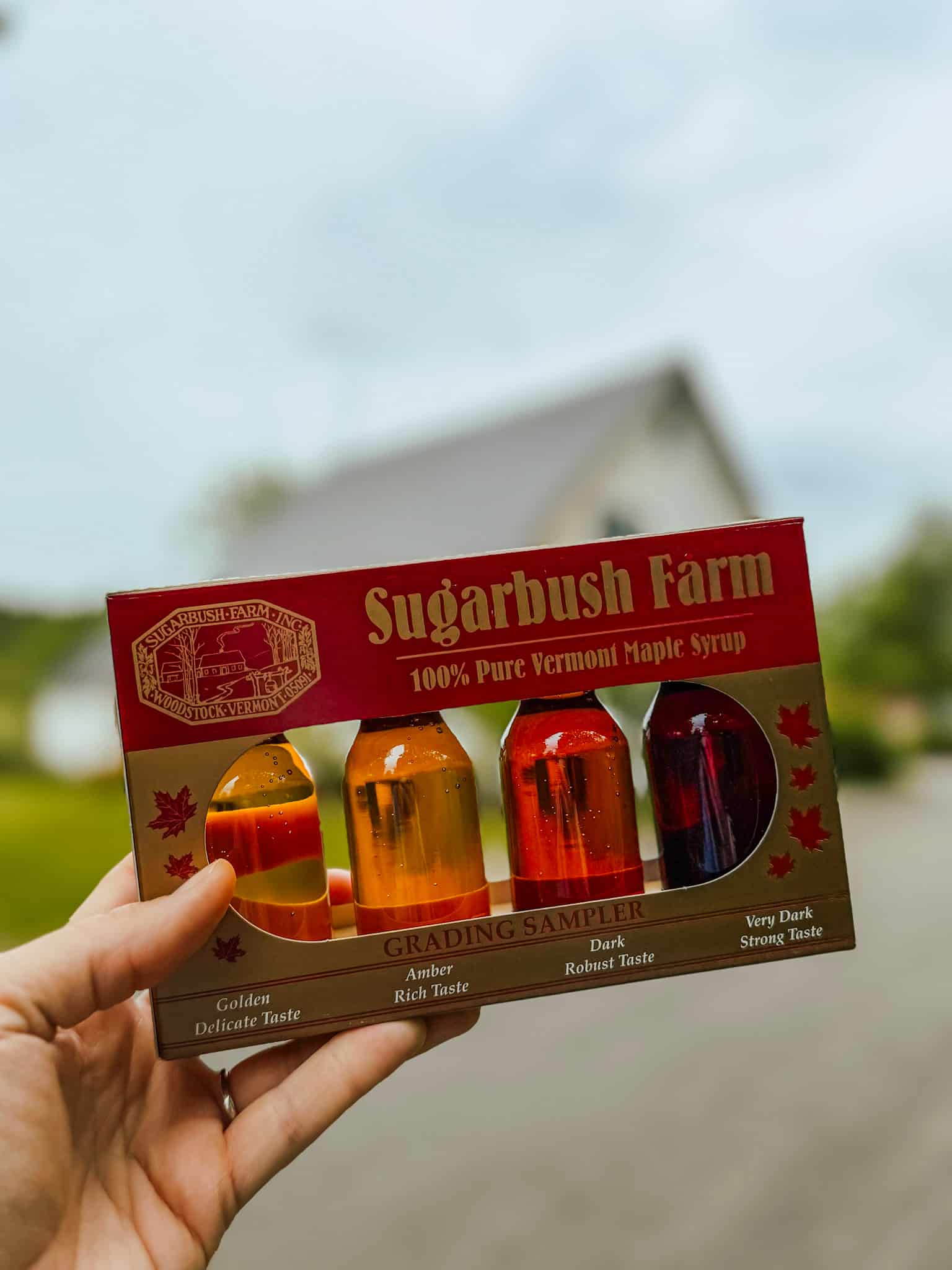 maple syrup samples