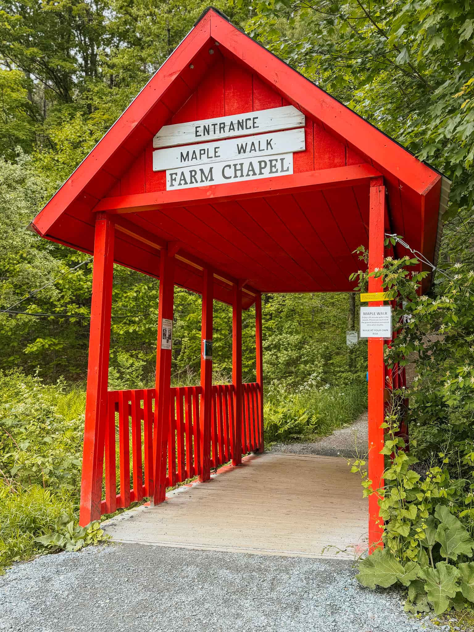 maple walk at sugar bush farm
