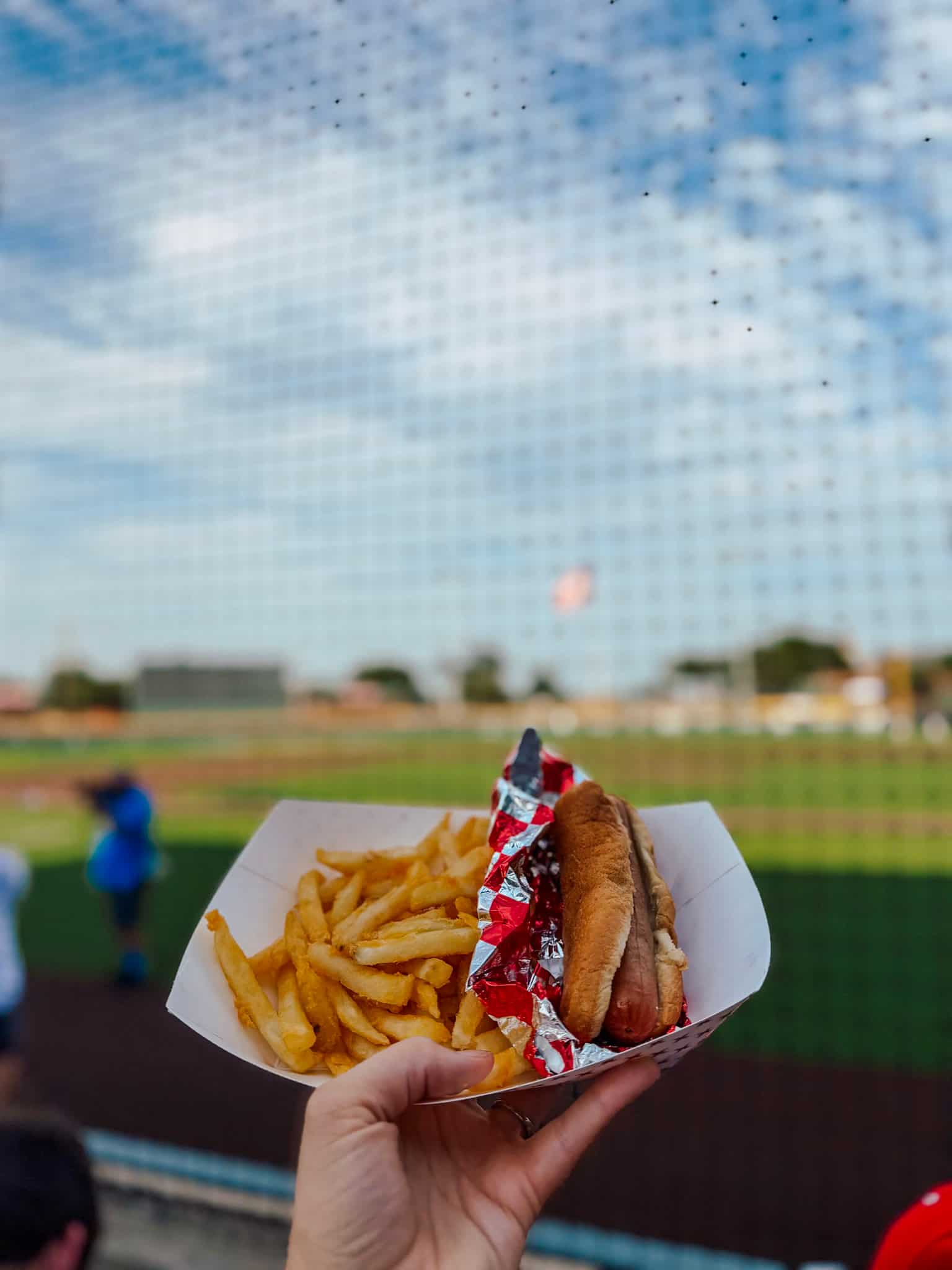 stadium food at NBC world series