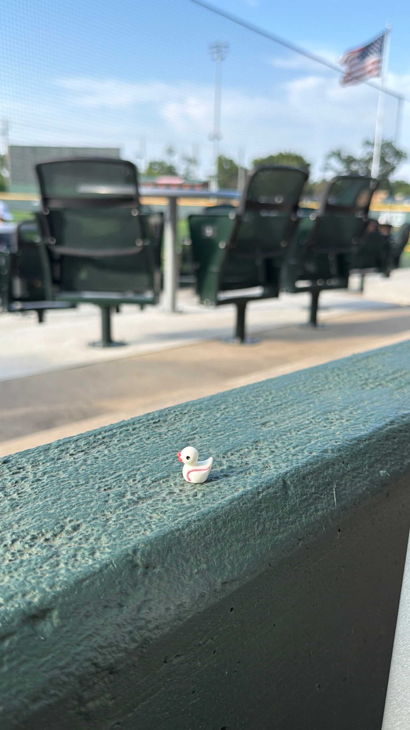 hidden duck at NBC world series in Wichita KS