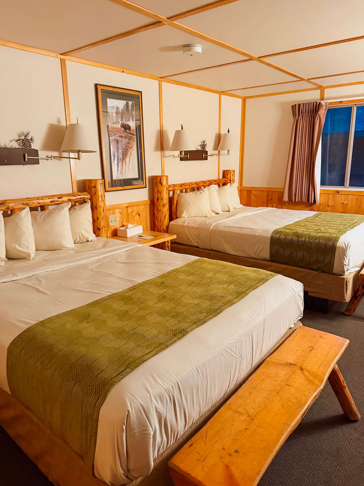 canyon lodge where to stay in yellowstone