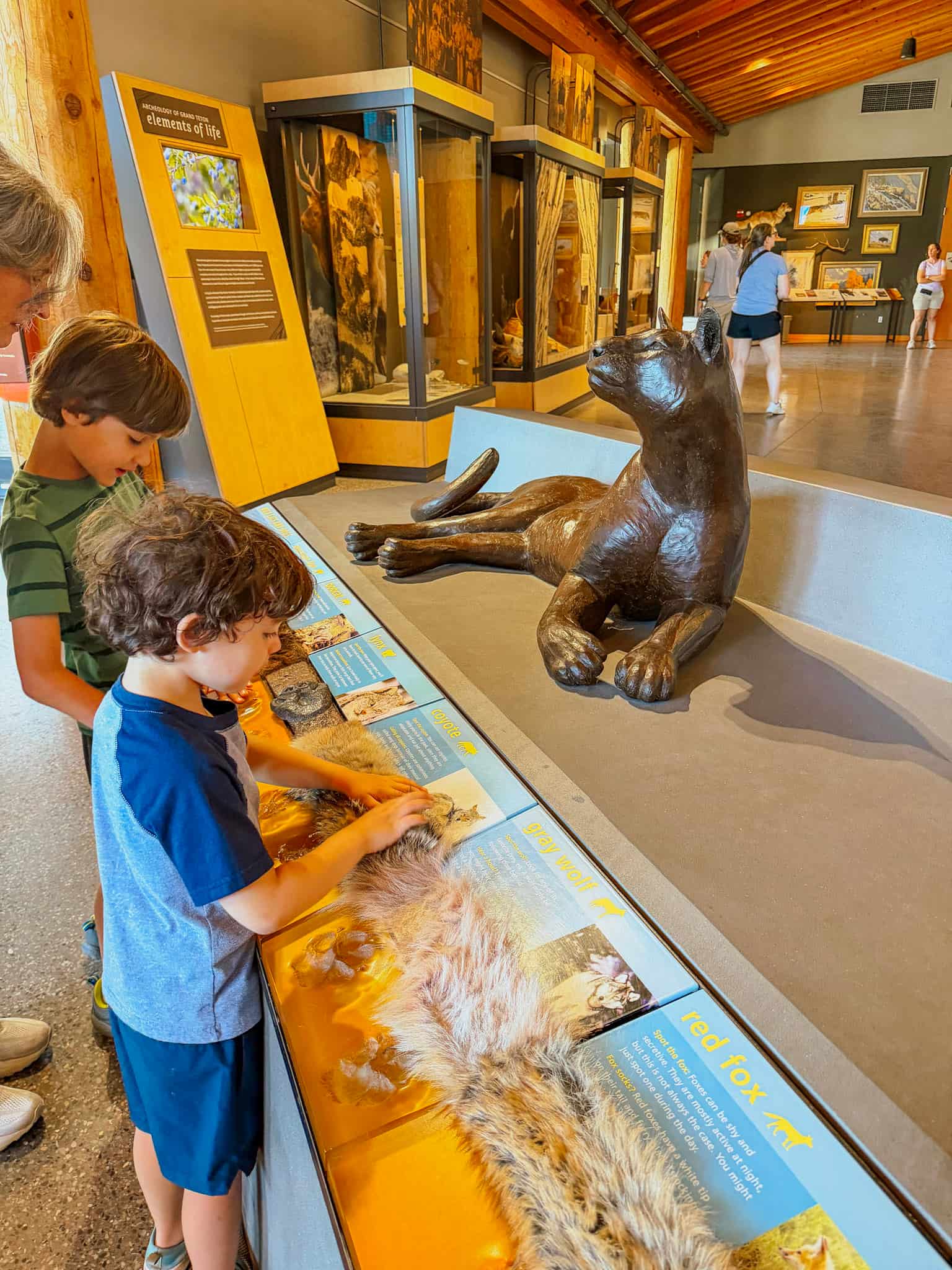 grand teton visitors center