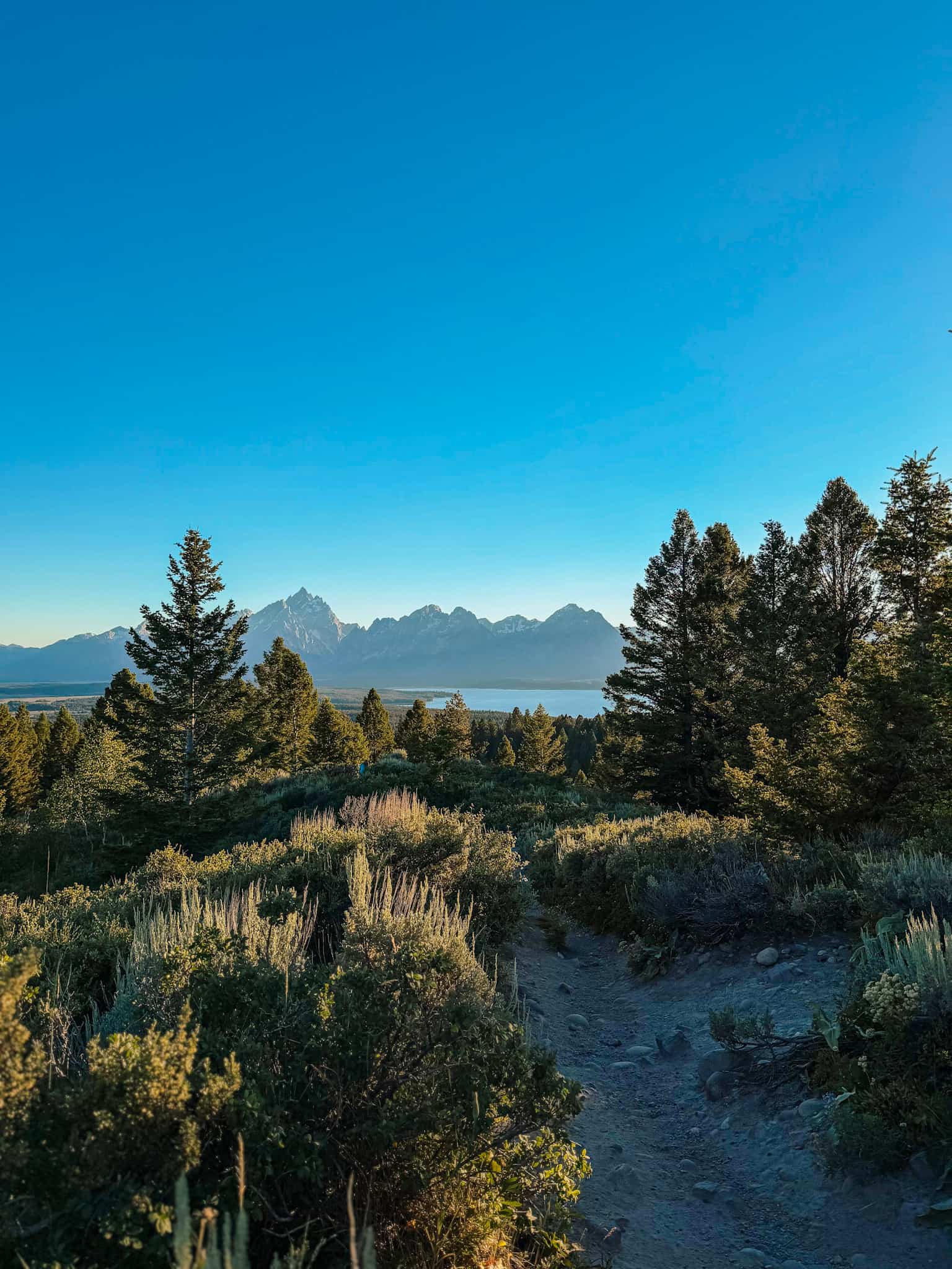 lookout from signal mountain grand tetons
