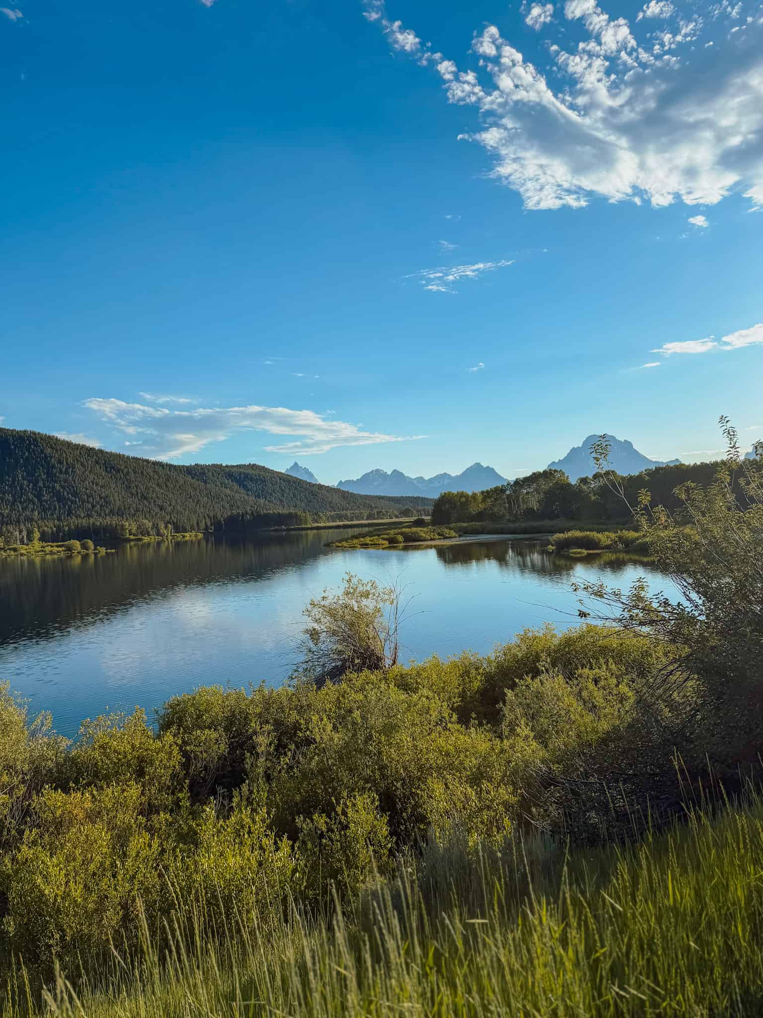 wildlife spotting oxbow bend grand teton national park 