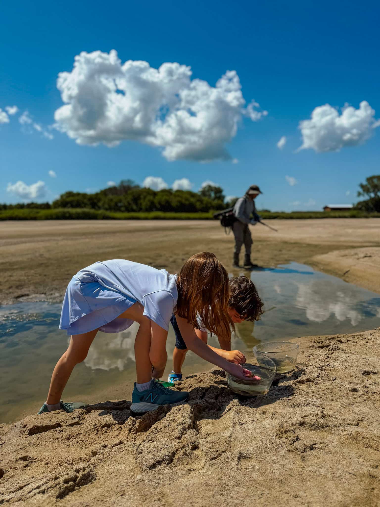Tide pooling at Rowe sanctuary 