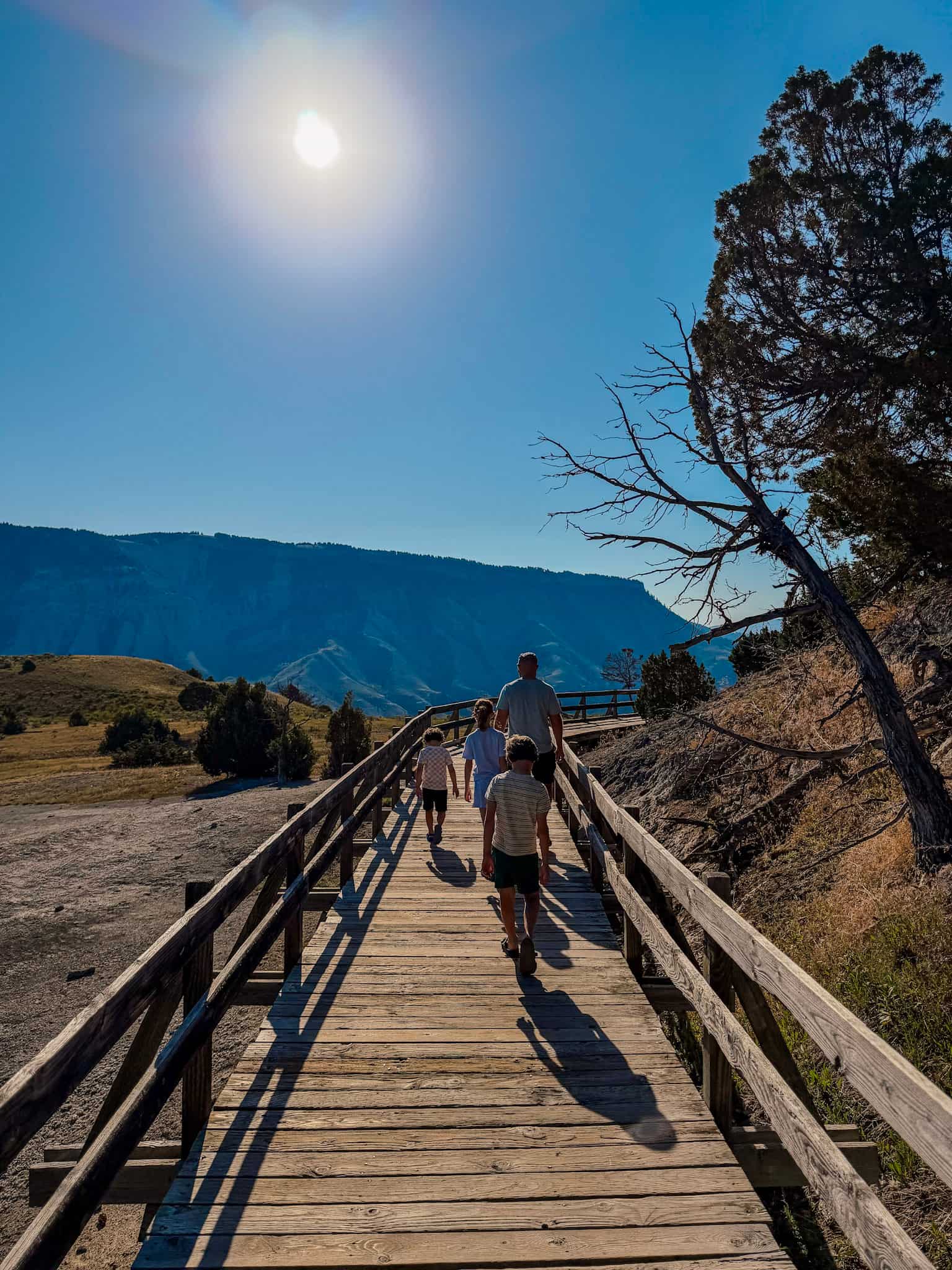 mammoth hot springs boardwalk