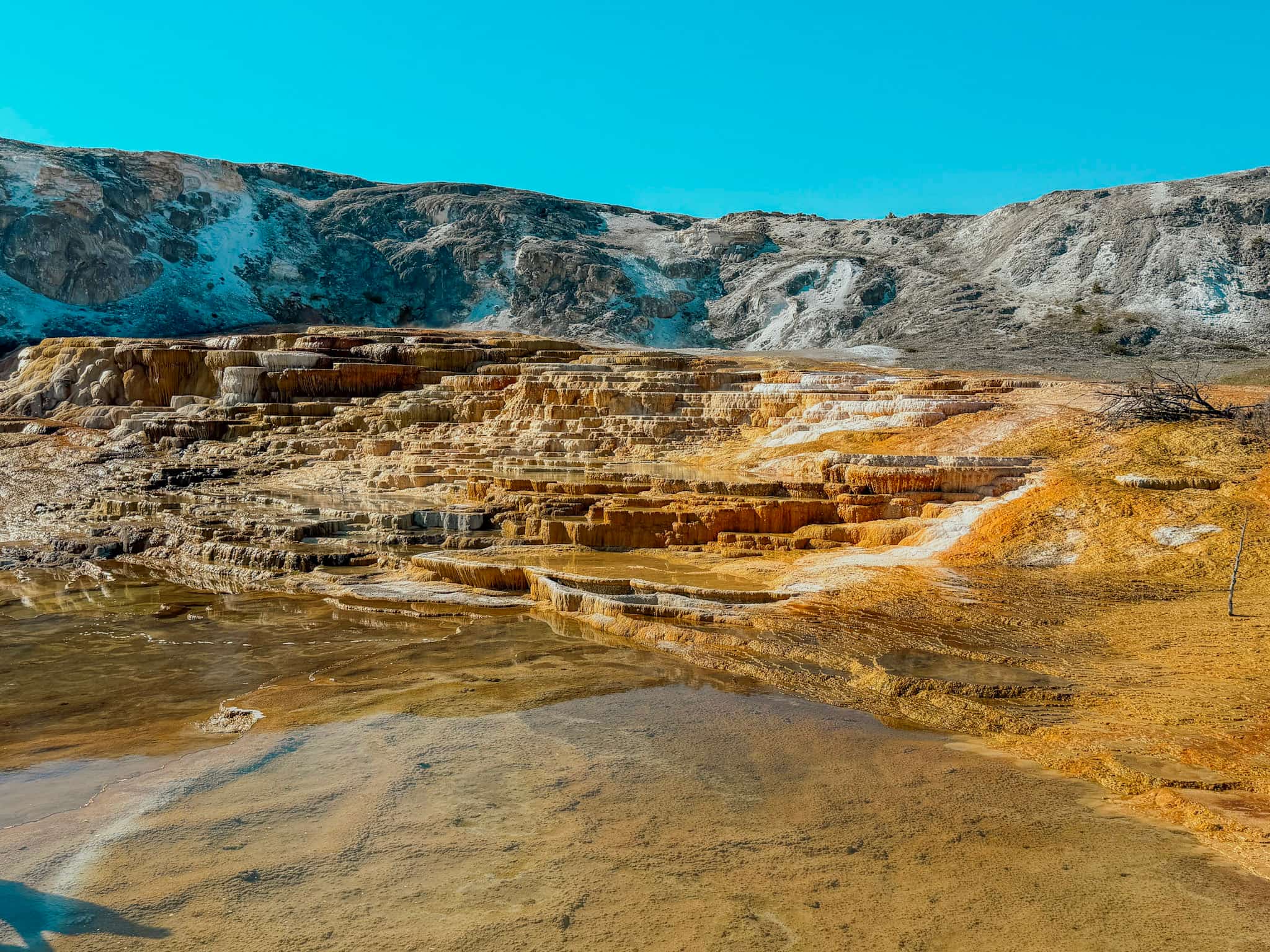 mammoth hot springs