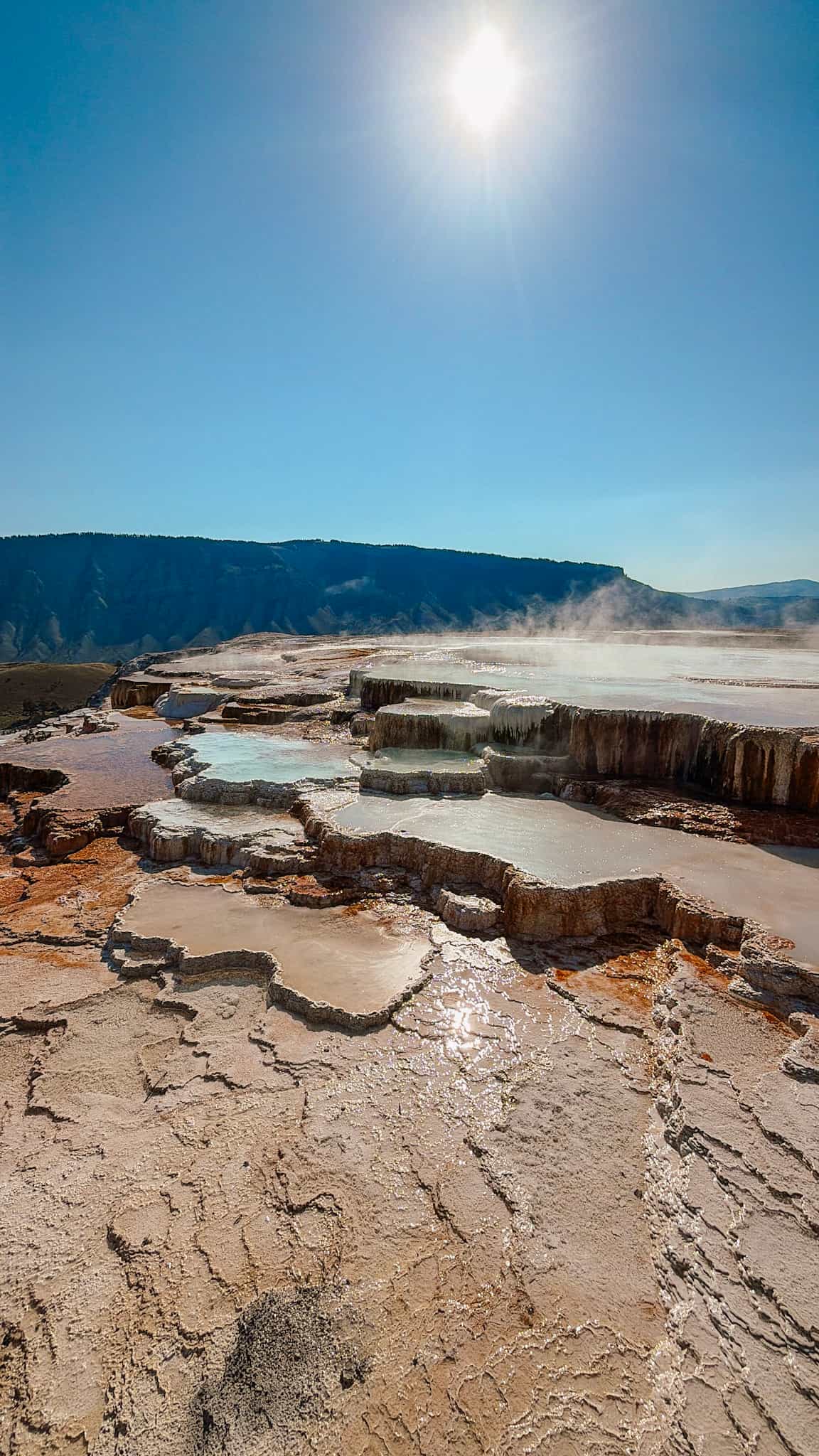 mammoth hot springs yellowstone national park
