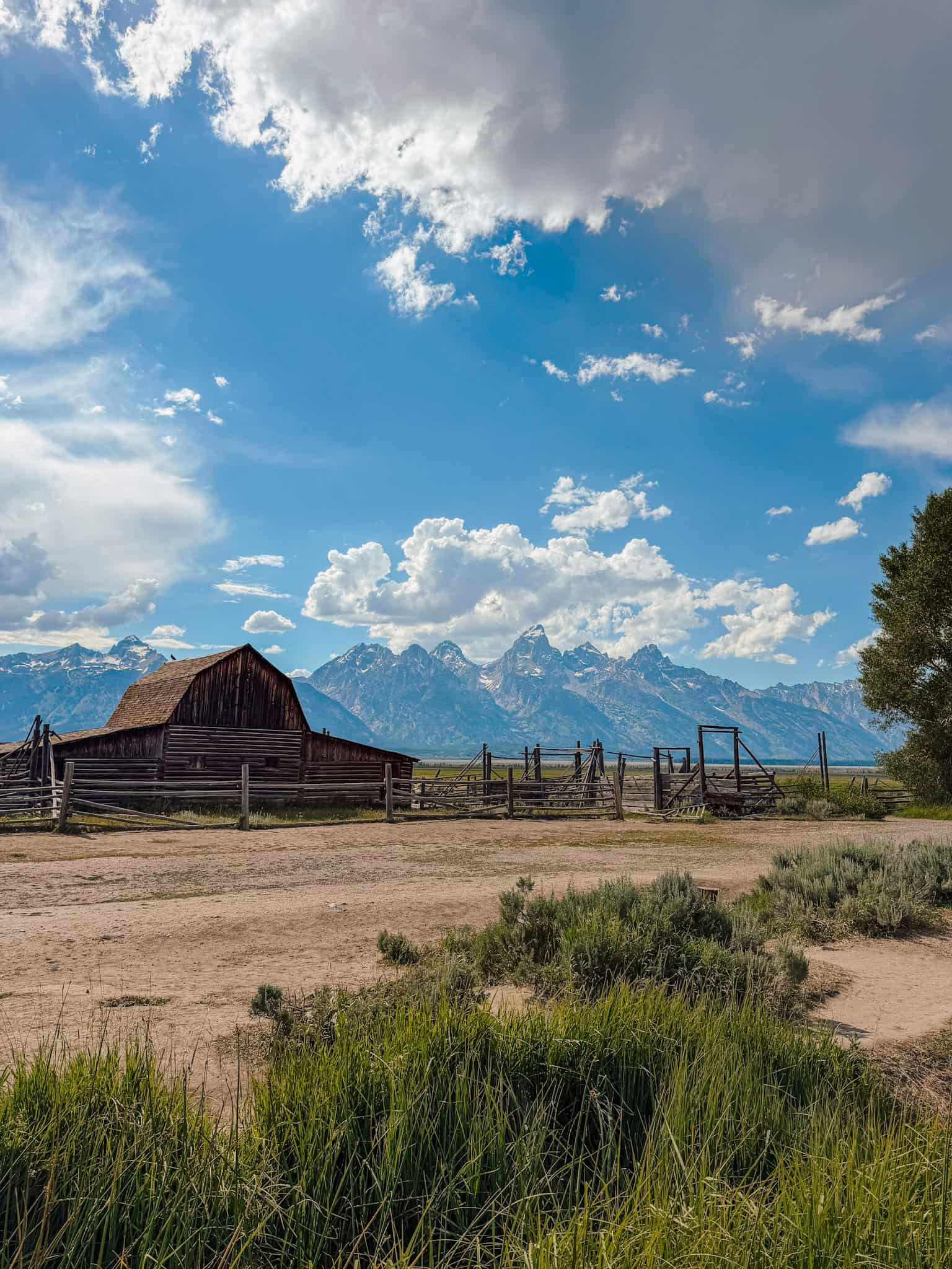 mormon row grand teton national park