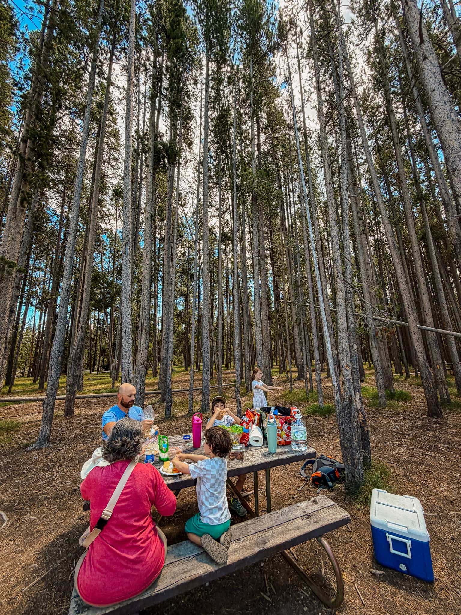 picnic area near old faithful