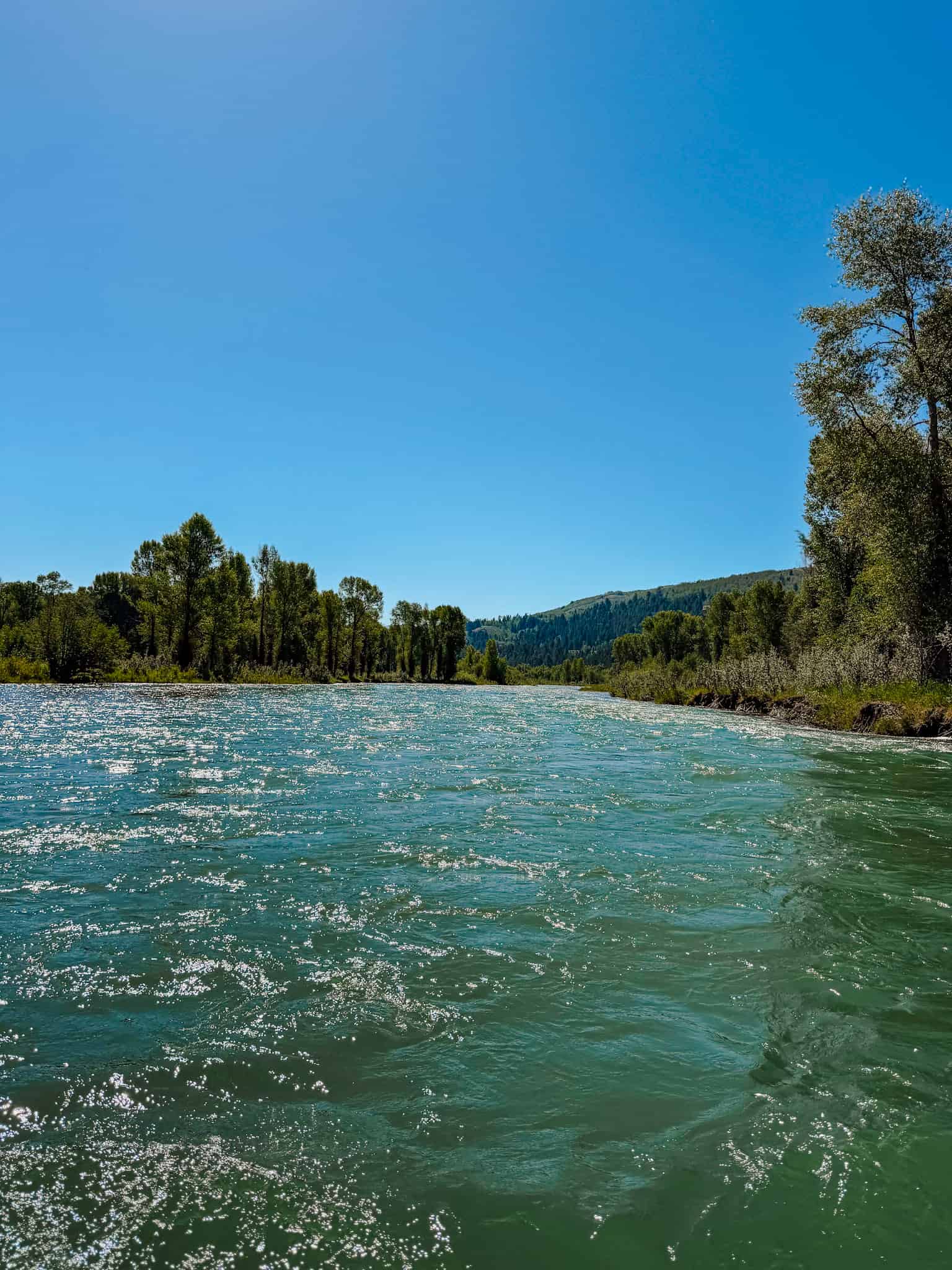 snake river float things to do in grand teton national park with kids