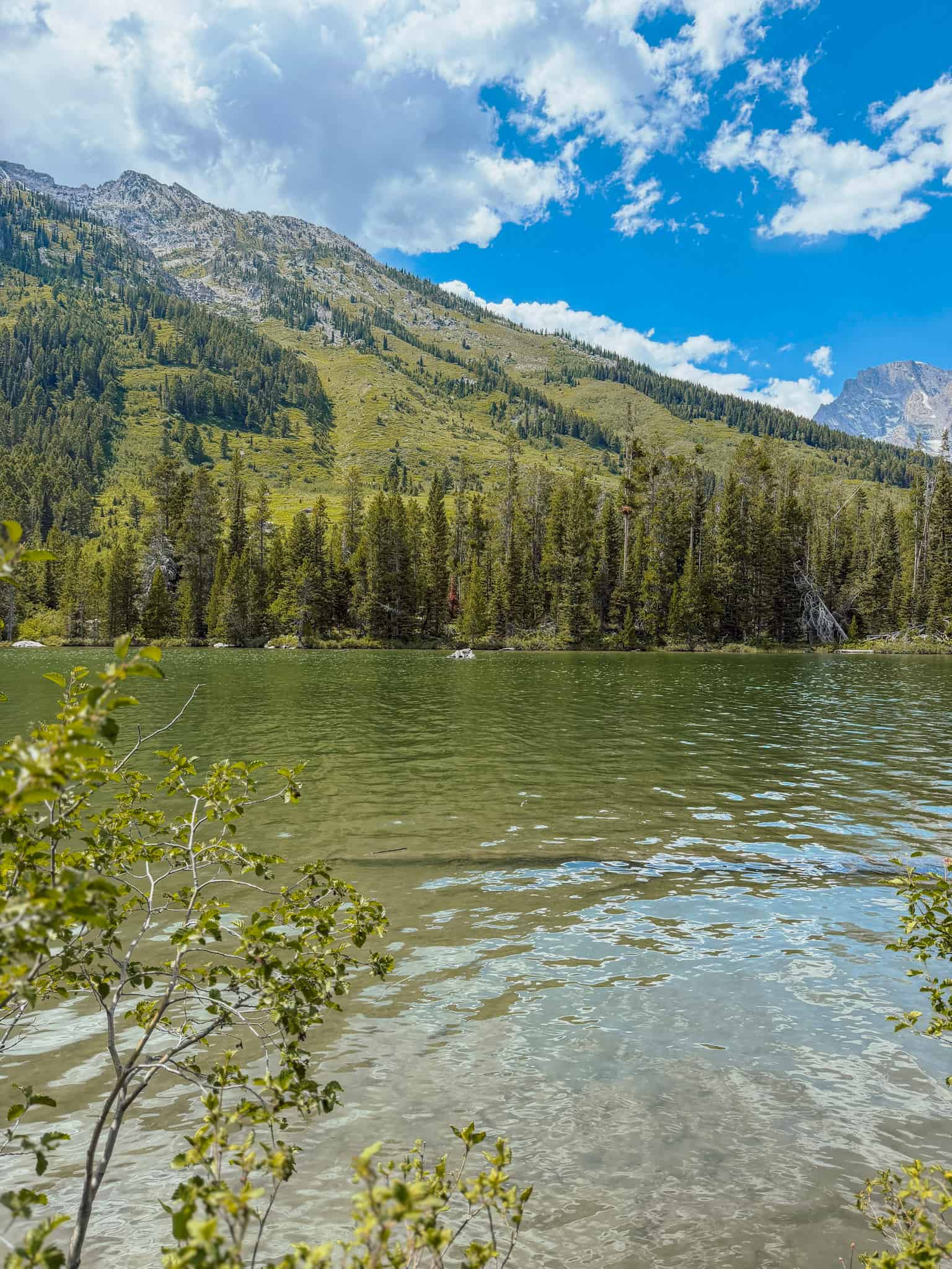 string lake grand tetons 