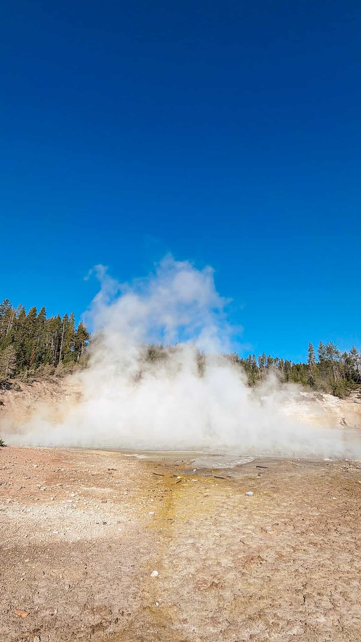 where to stay in yellowstone national park