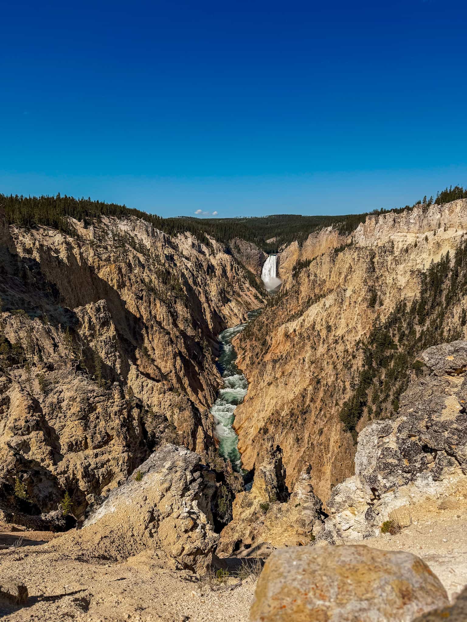 grand canyon of the yellowstone
