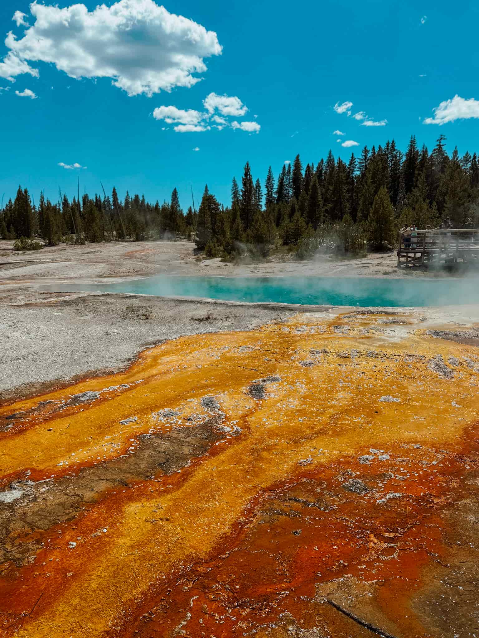 things to do in Yellowstone with kids