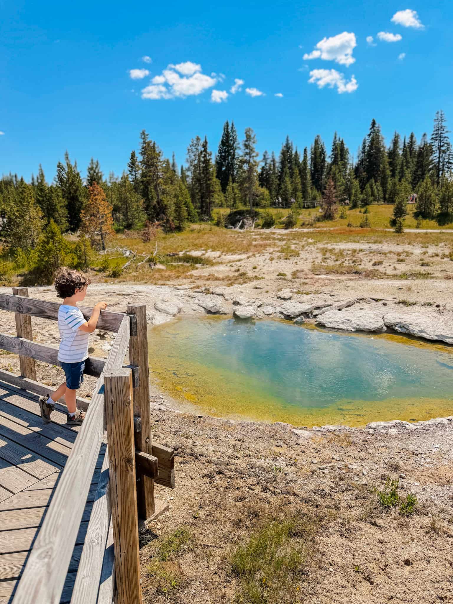 west thumb geyser basin