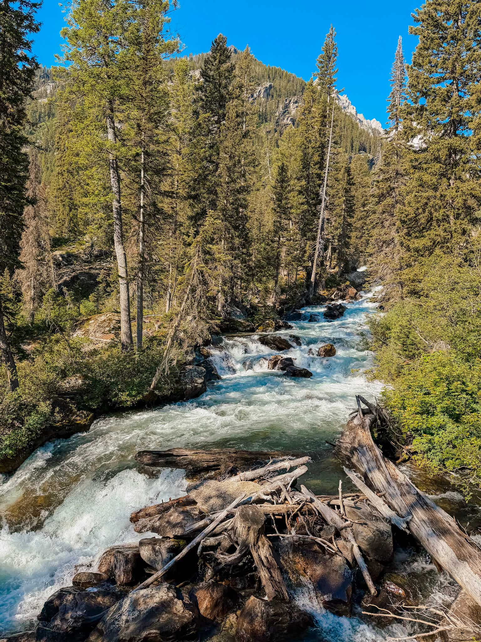 Hidden Falls trail at Jenny Lake in Grand Tetons
