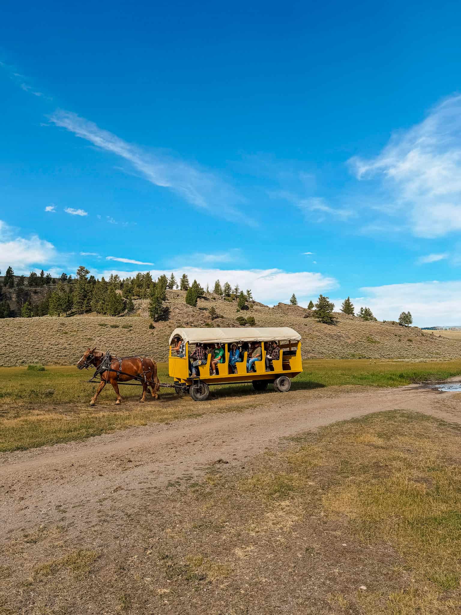 cowboy cookout yellowstone things to do with kids