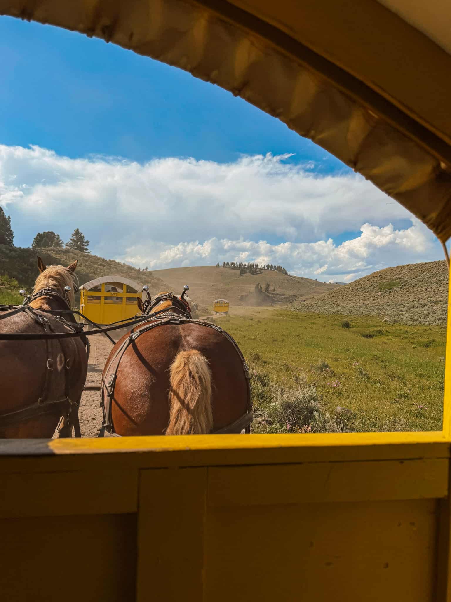 cowboy cookout yellowstone itinerary