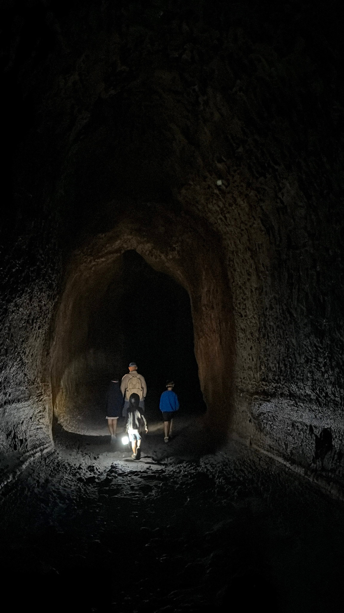 ape cave washington road trip