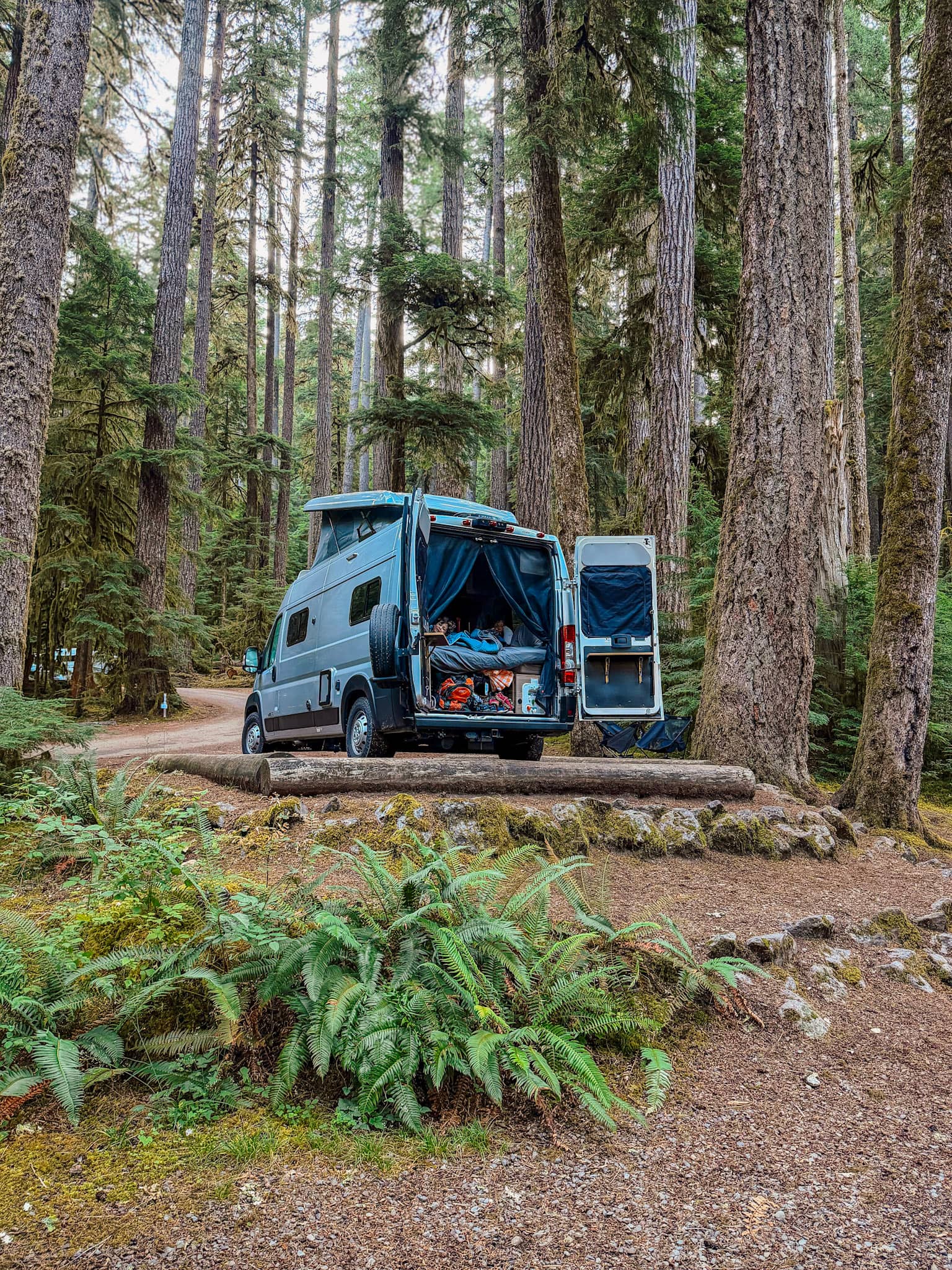 campervan in olympic national park 