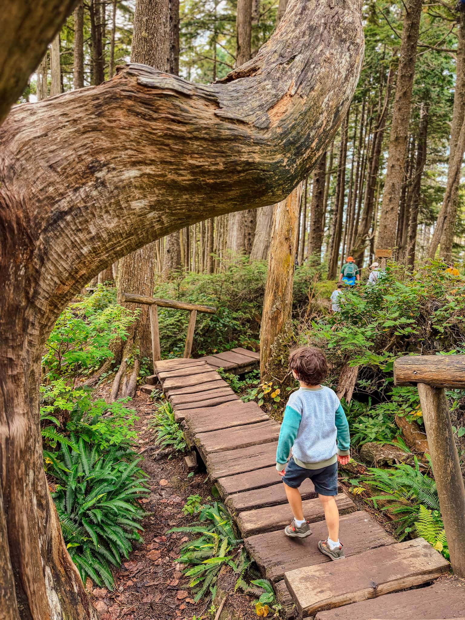 cape flattery olympic national park washington road trip