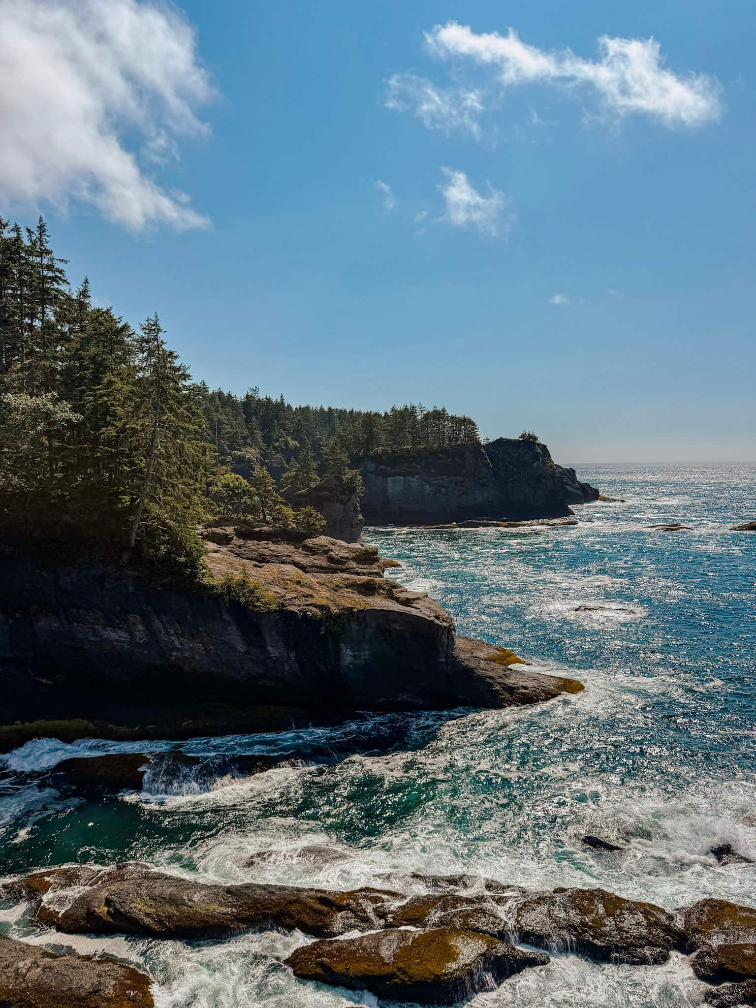 cape flattery olympic national park
