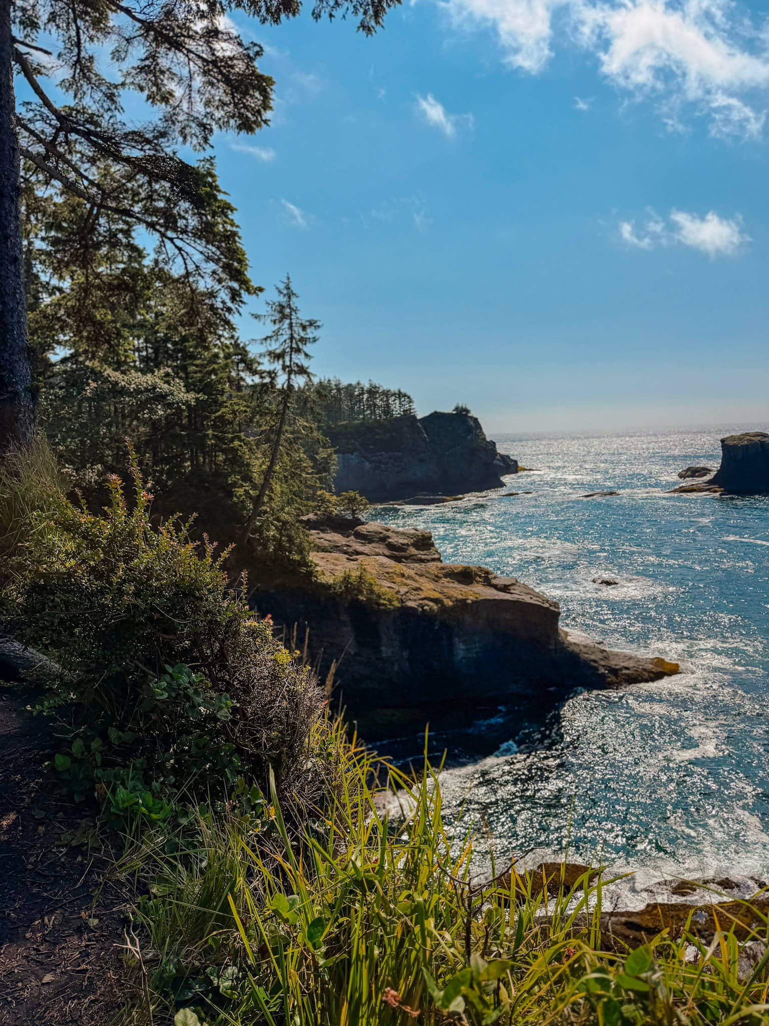 cape flattery olympic national park washington road trip