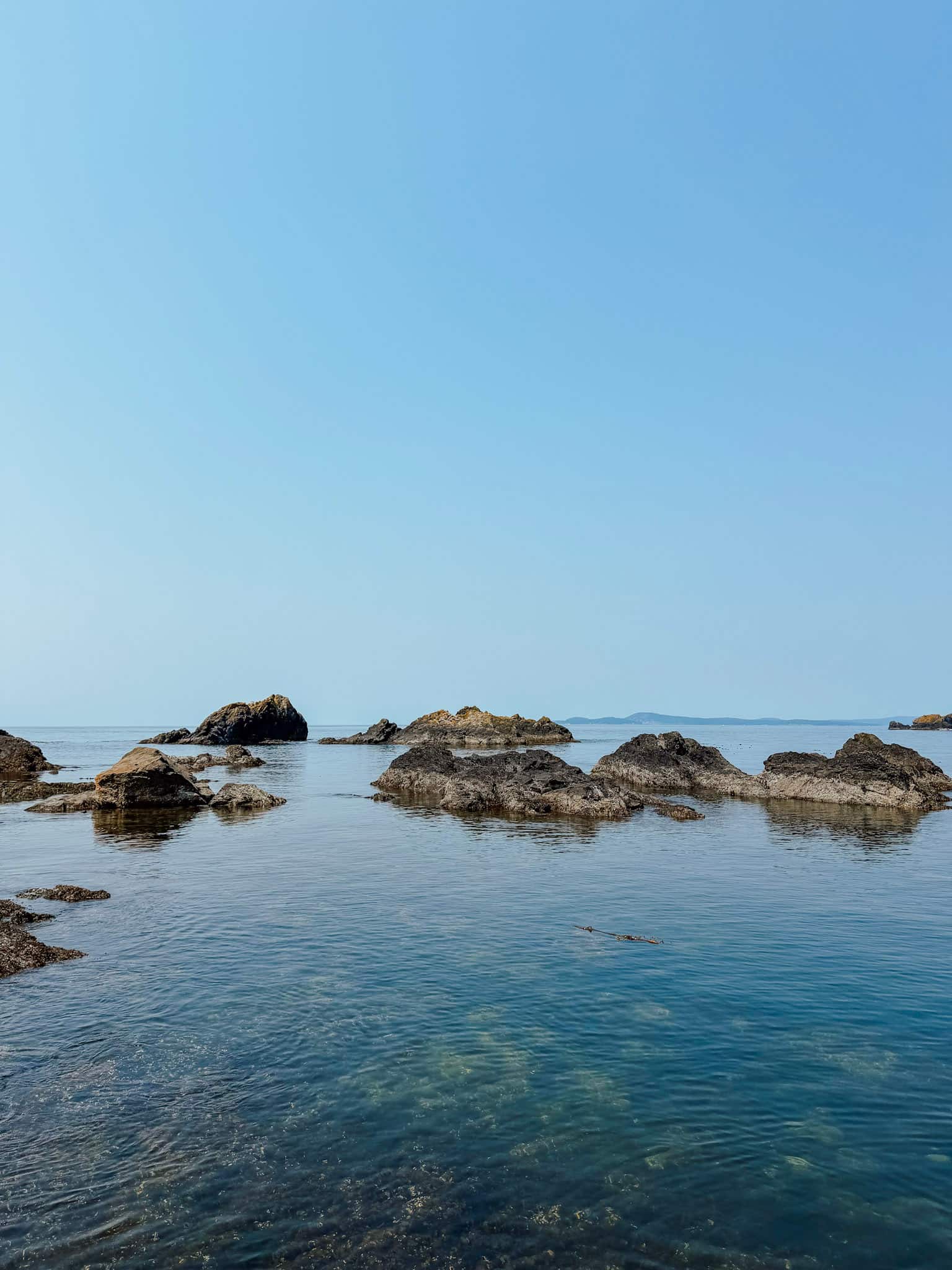 rosario beach tidepools