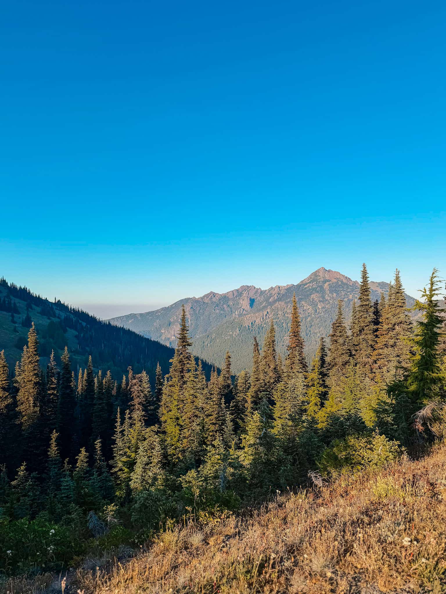 hurricane ridge olympic national park