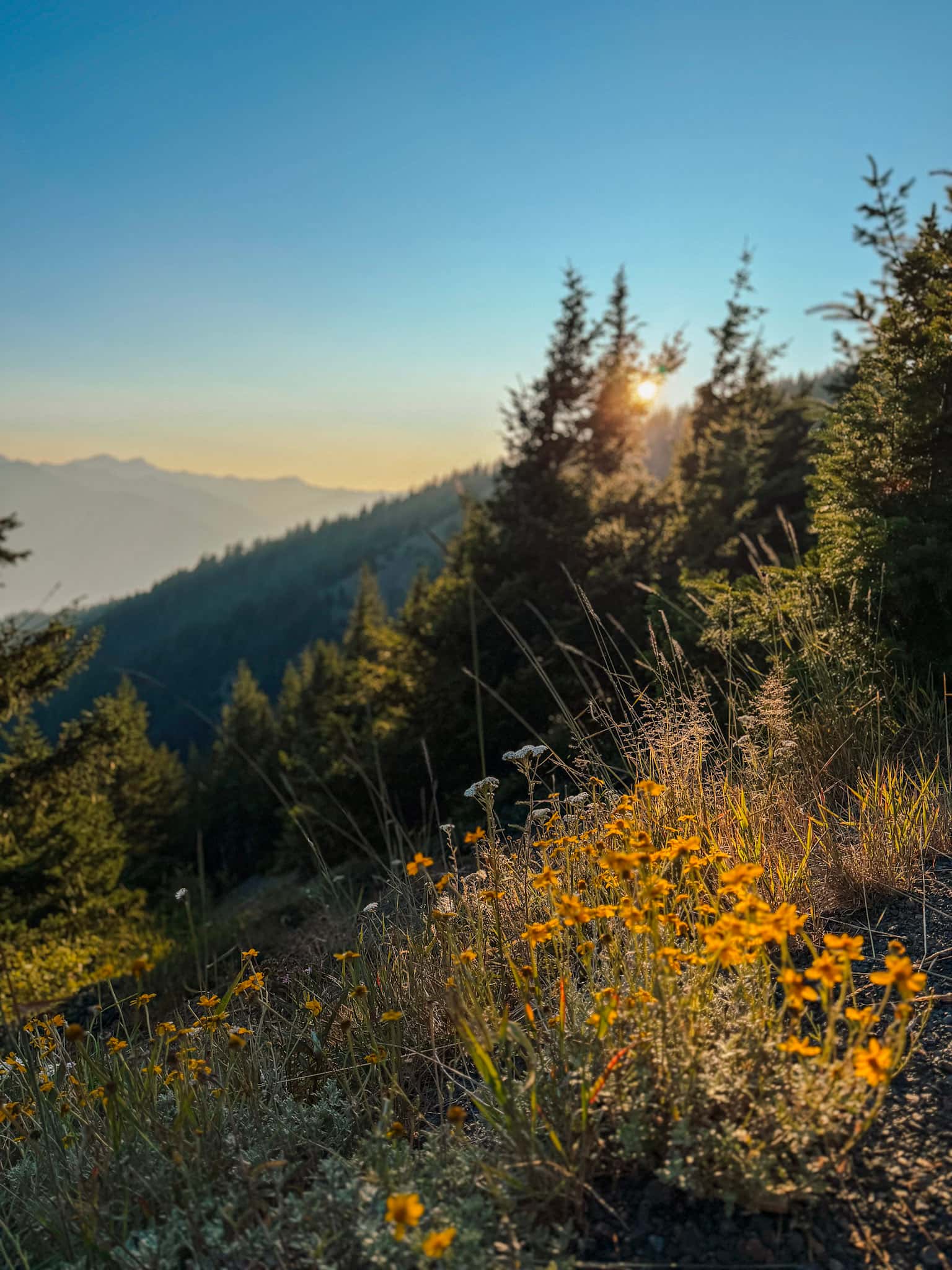 hurricane ridge